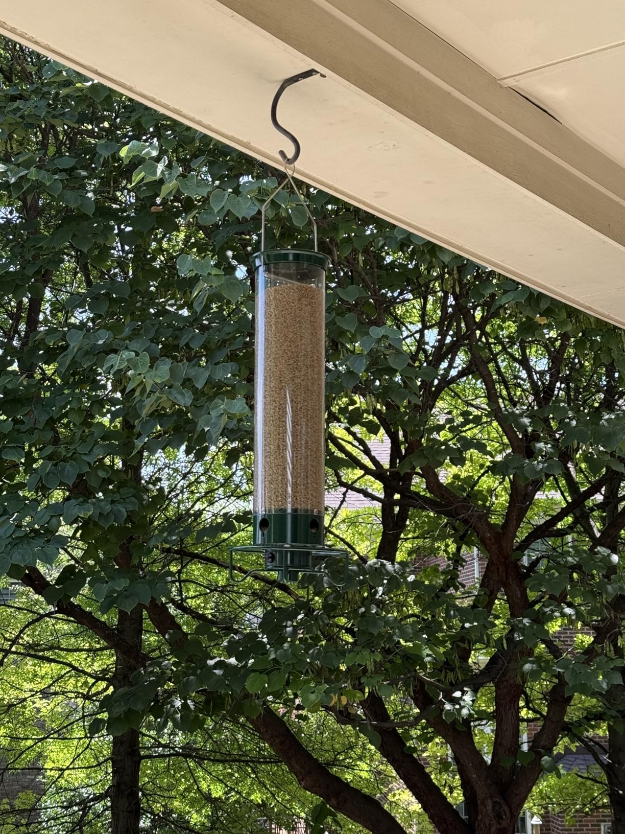 Droll Yankees Squirrel Proof Bird Feeder for Outdoors - Rechargeable Weight-Activated Rotating Perch, 5lb Seed Capacity, Metal Base, UV-Stabilized Seed Tube, Hanging Green Yankee Flipper, YF-M customer photo 2