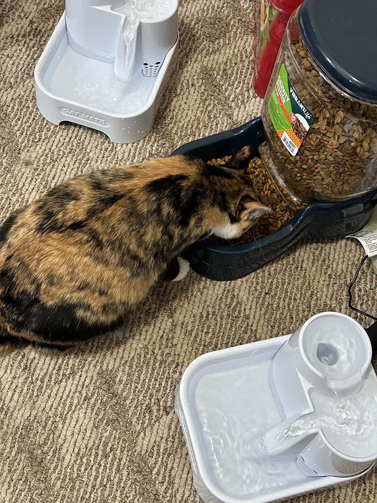 Cat Mate Multi-Level Pet Water Fountain (335) - BPA and BHT Free 3-Stage Filter, for Cats & Small Dogs, Quiet and Hygienic Drinking Fountain, 70 fl. Oz Capacity customer photo 1