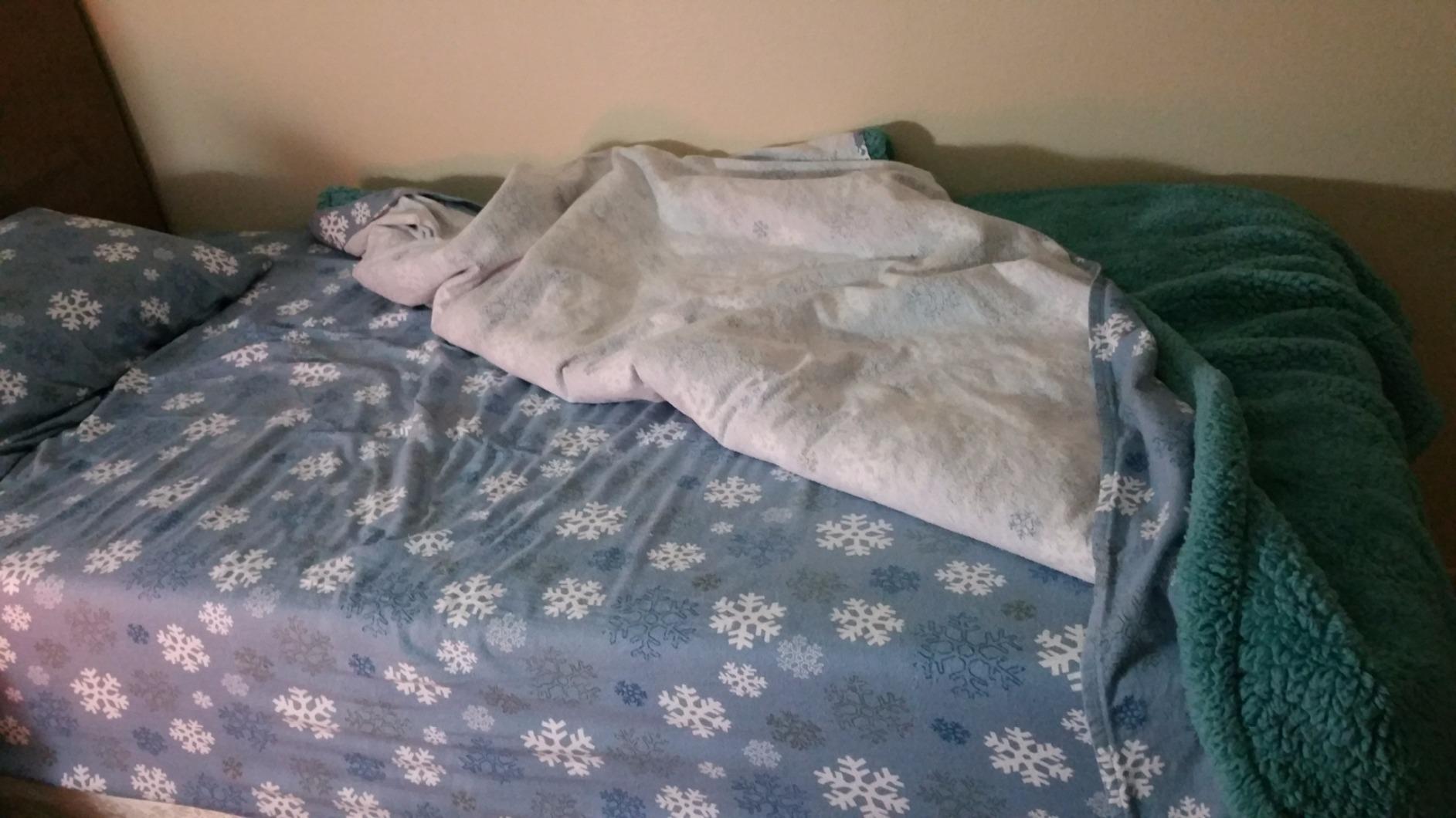 Pointehaven Heavy Weight Flannel Sheet Set, Queen, Snow Flakes - Warm & Cozy - 100% Cotton Flannel Pre-Shrunk -170 GSM - Deep Pockets - Easy Fit Elastic All Around-Comfy Double Brushed customer photo 1
