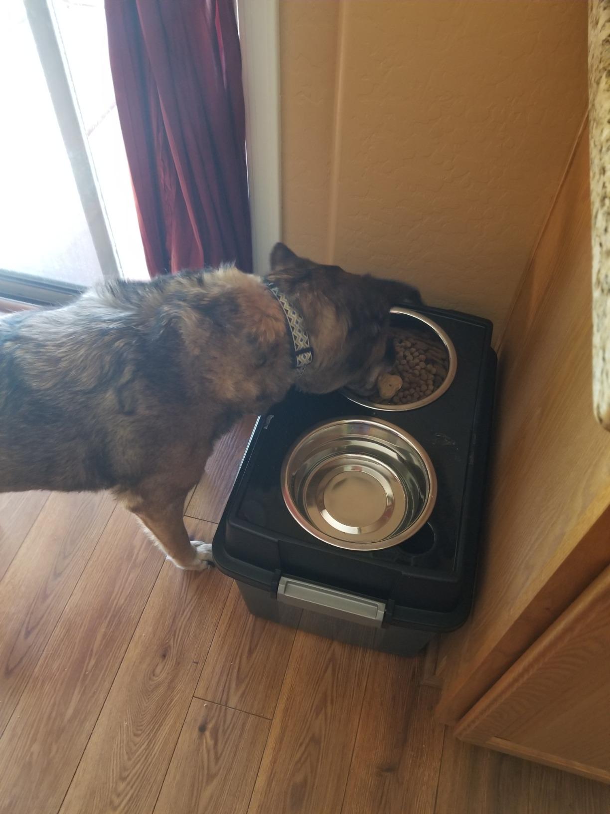 IRIS USA Dog Bowls Elevated with Storage, 15