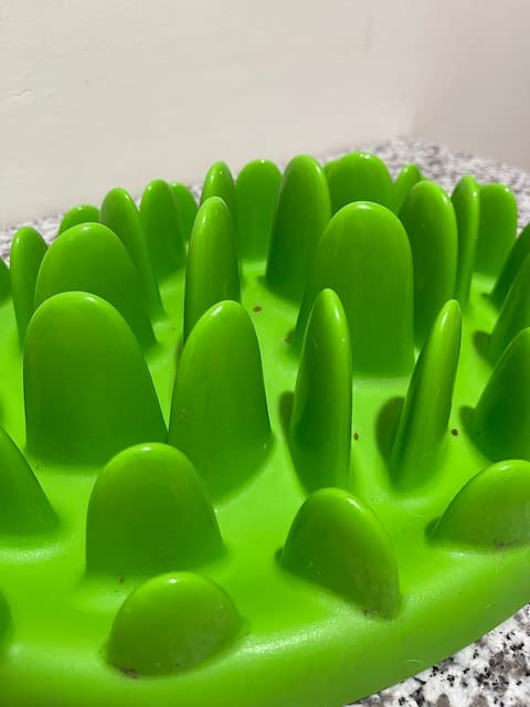 Company of Animals GREEN Slow Interactive Feeder for Dogs, Size Large, Best Fun Slow Feeder Dog Bowl, Anti-Gulp, Gobble Stopper, Mental Stimulation Dog Puzzle, Suitable for Small, Medium & Large Dogs customer photo 2
