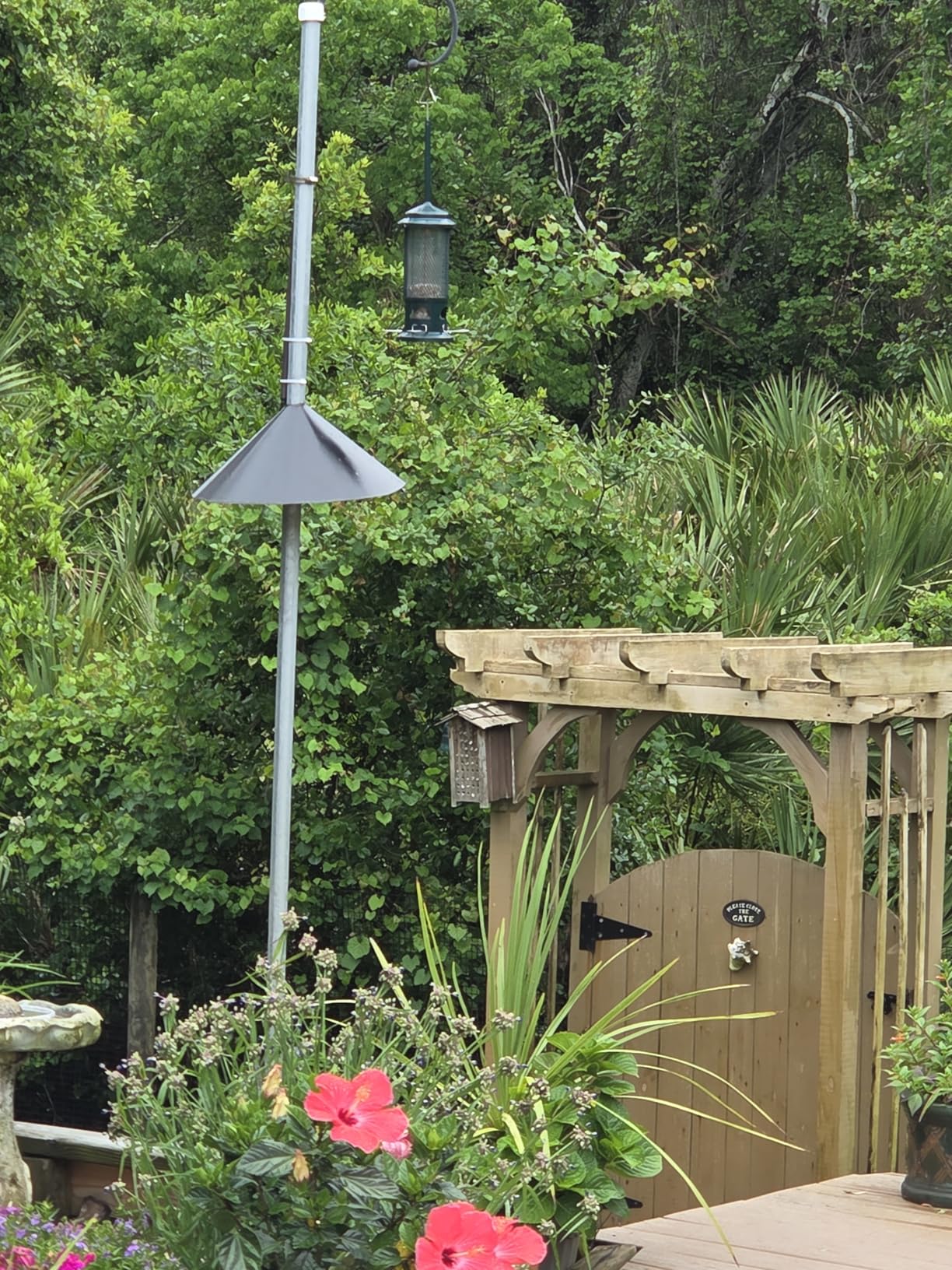Squirrel Buster Standard Squirrel-proof Bird Feeder w/4 Metal Perches, 1.3-pound Seed Capacity, garden green customer photo 2