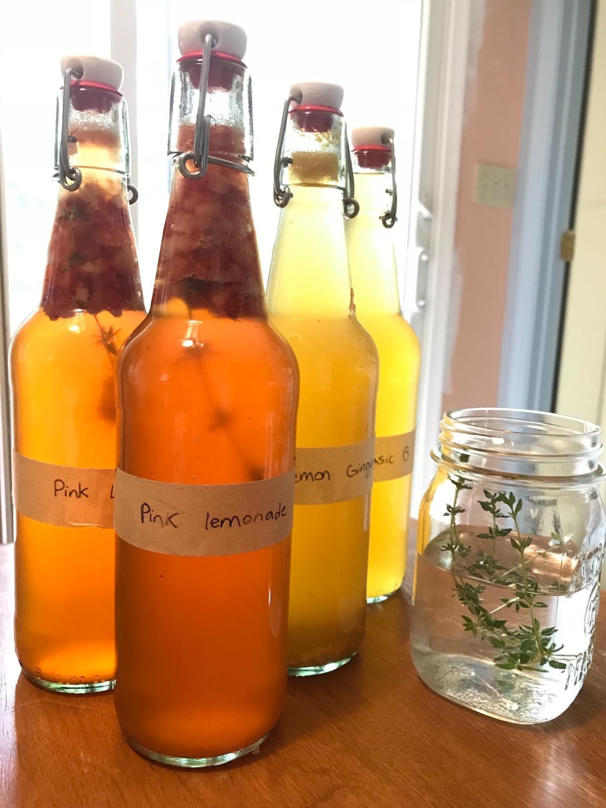The Kombucha Shop Organic Kombucha Starter Kit - 1 Gallon Brewing Kit Includes All The Essentials Required for Brewing Kombucha At Home customer photo 1