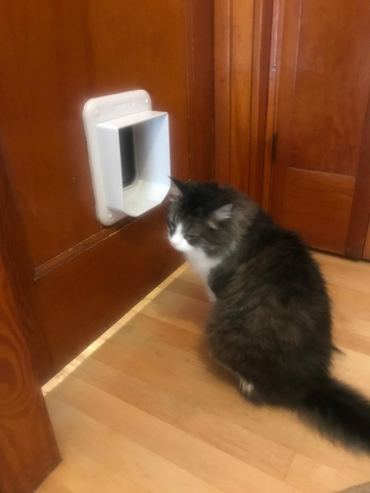 Cat Mate Microchip Activated Cat Flap (360) - ISO and AVID Compatible, Door for Entry Control of up to 30 Cats or Small Dogs, for Single/Multiple Glazing, UPVC, Walls and Wood, White customer photo 1