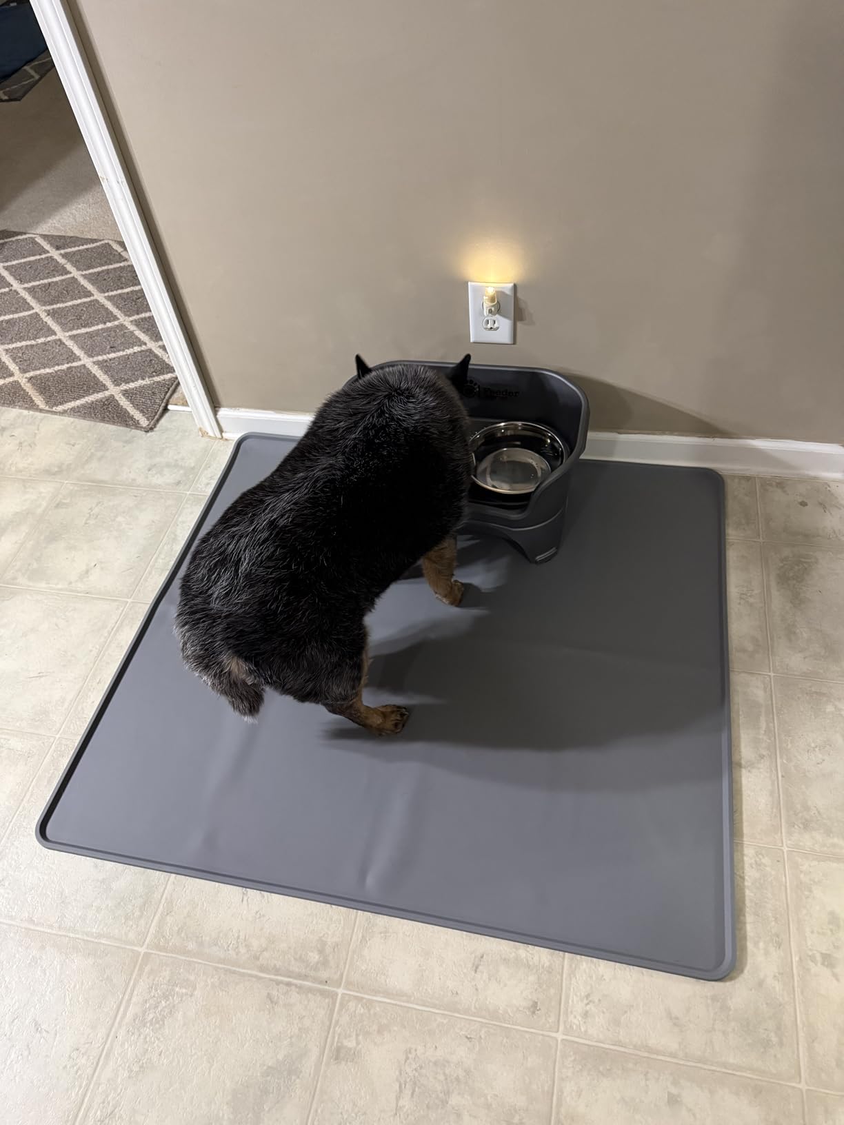 Neater Feeder Express Mess Proof Dog Bowls Elevated for Medium to Large Sized Breed, No Spill Raised Dog Food Bowl Stand, Stainless Steel Food and Water Bowl Set, Pet Dish Feeding Station, Cappuccino customer photo 1