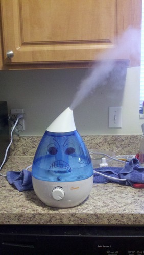 Crane Ultrasonic Cool Mist Humidifier for Bedroom, Baby Nursery, Kids Room, Plants, or Office, Large 1 Gallon Tank, Filter Optional, Clear and White customer photo 2