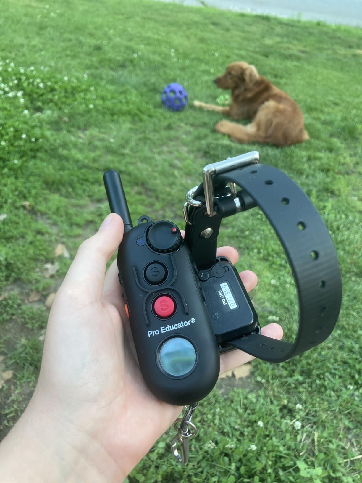 Educator PG-300 Dog Training Pager Only - Vibration & Tone, 1/2 Mile Range, 100 Adjustable Levels, Waterproof Biothane Collar Included, Rechargeable, Night Tracking Light, Small & Medium Dogs customer photo 2