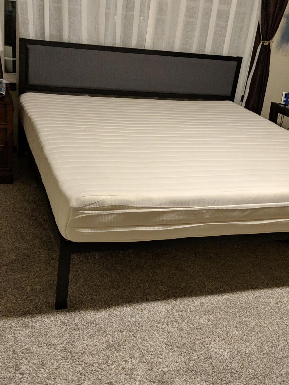 Pure Green Organic Latex Mattress - Firm - Twin customer photo 2