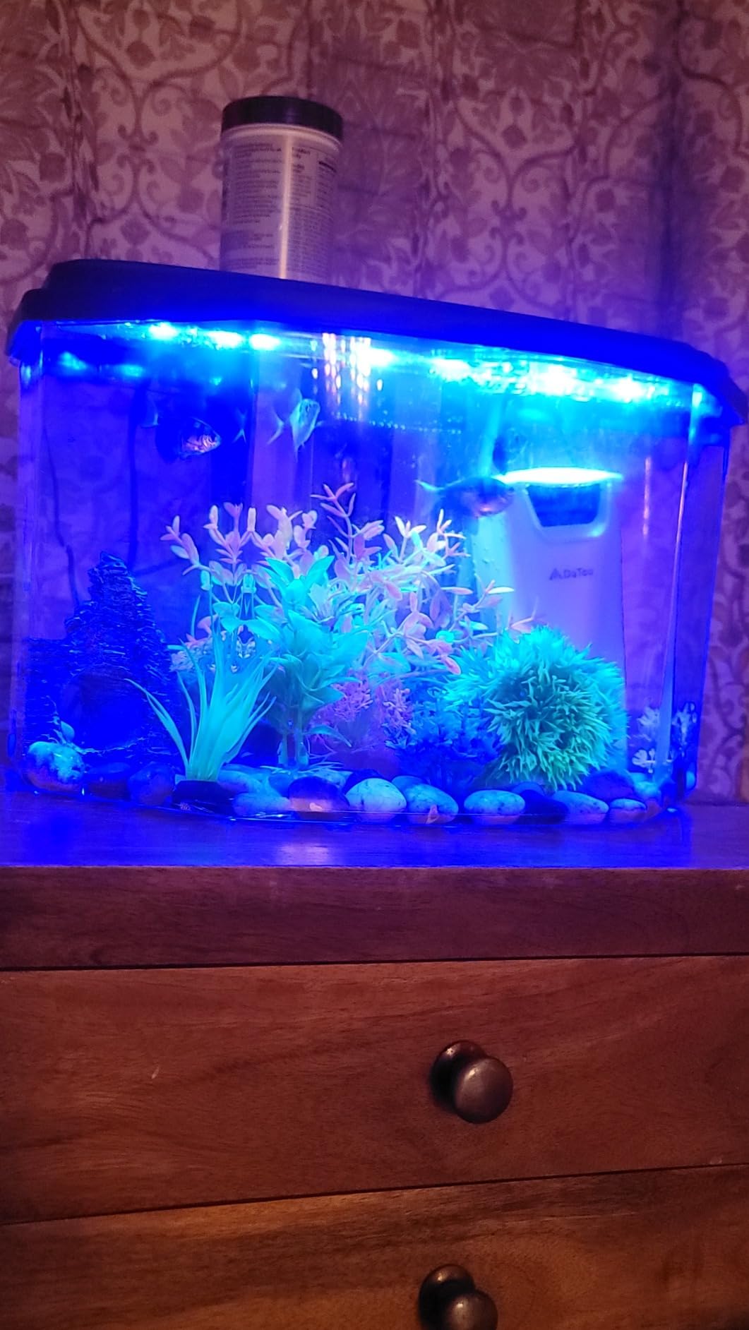 Koller Products Plastic 3-Gallon Aquarium Starter Kit with 4 Colors LED Lighting and Complete Filtration, Ideal for a Variety of Tropical Fish, Betta Fish, Tropical Fish, Cichlids, Ornamental Shrimp customer photo 2