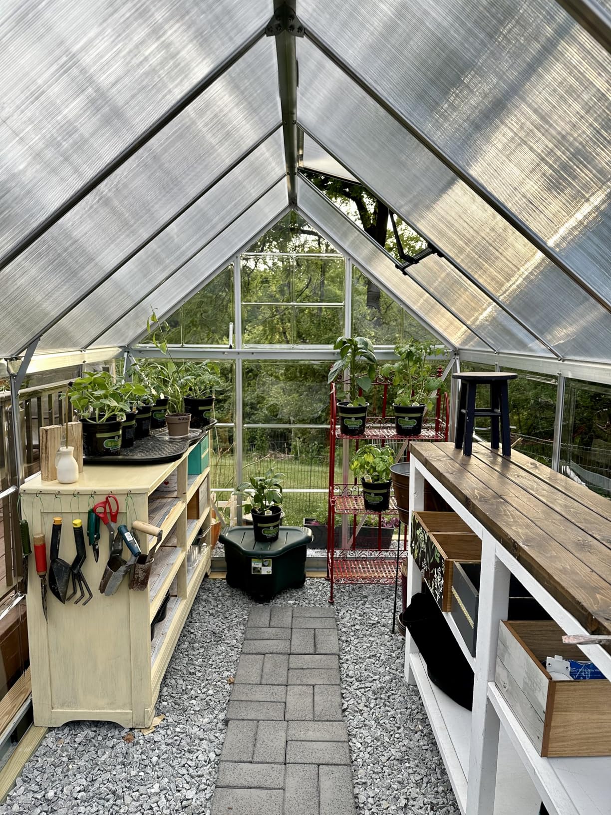 Palram - Canopia 4x8 Lean-To Greenhouse for Outdoors, Hobby Walk-In UV Polycarbonate Panels Heavy Duty Aluminum Frame, Lockable Door, Adjustable Roof Vent, Rain Gutters, Galvanized Steel Base, Hybrid customer photo 1