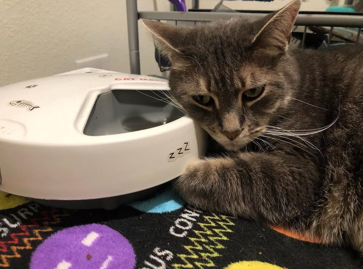 Cat Mate C300 Automatic 3 Meal Pet Feeder with Digital Timer - for Cats or Small Dogs, for Wet and Dry Pet Food, Meals up to 0.73 lb Each, White customer photo 2