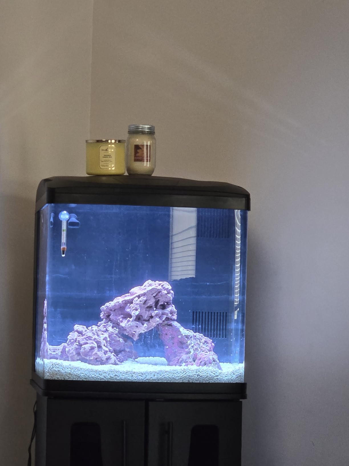 Coralife BioCube, Aquarium Kit, Nano Tank, Customizable LED Lighting, for Saltwater and Freshwater Environments, 16 Gallons customer photo 1