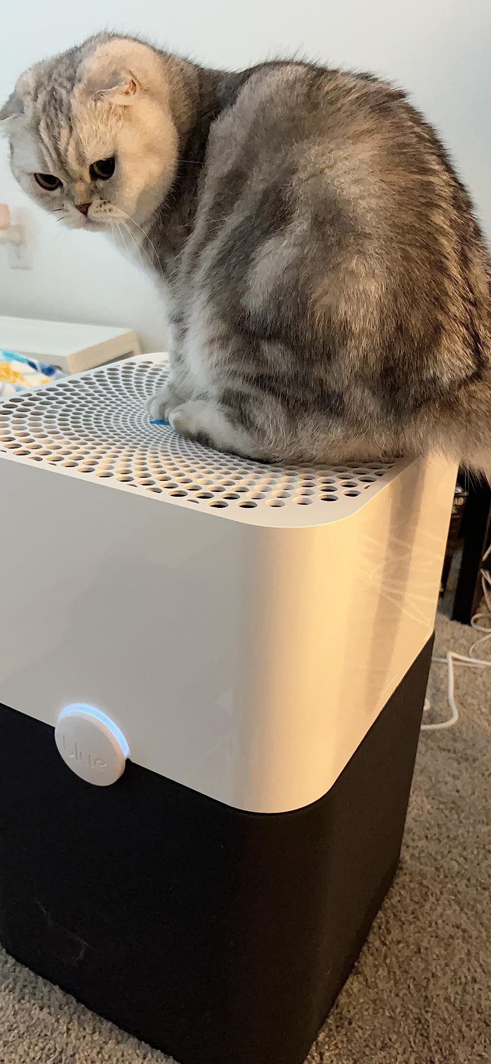 Blueair Blue Pure 211+ Air Purifier Large Room, Air Cleaner for Dust Pet Dander Smoke Mold Pollen Bacteria Allergen, Odor Removal, for Home Bedroom Living Room, Washable Pre Filter, HEPASilent, Blue customer photo 1