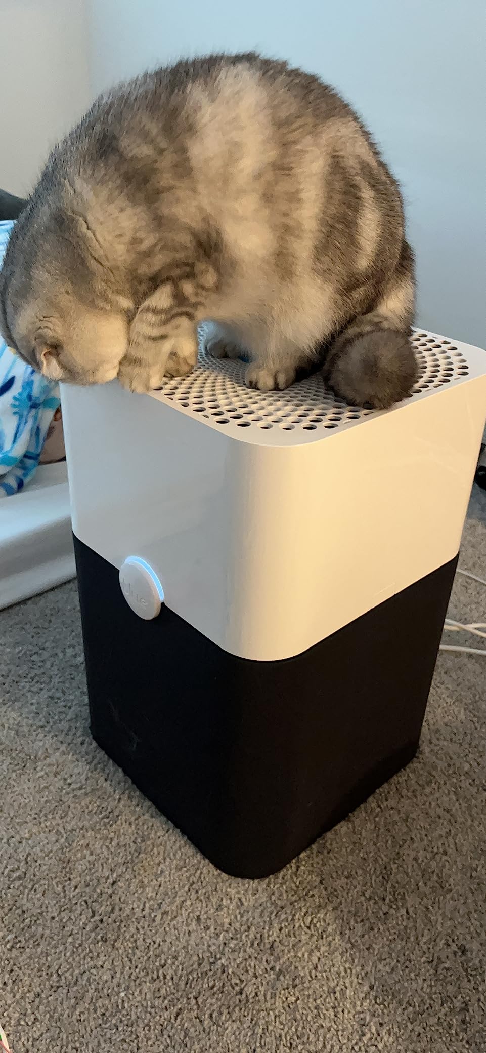 Blueair Blue Pure 211+ Air Purifier Large Room, Air Cleaner for Dust Pet Dander Smoke Mold Pollen Bacteria Allergen, Odor Removal, for Home Bedroom Living Room, Washable Pre Filter, HEPASilent, Blue customer photo 2