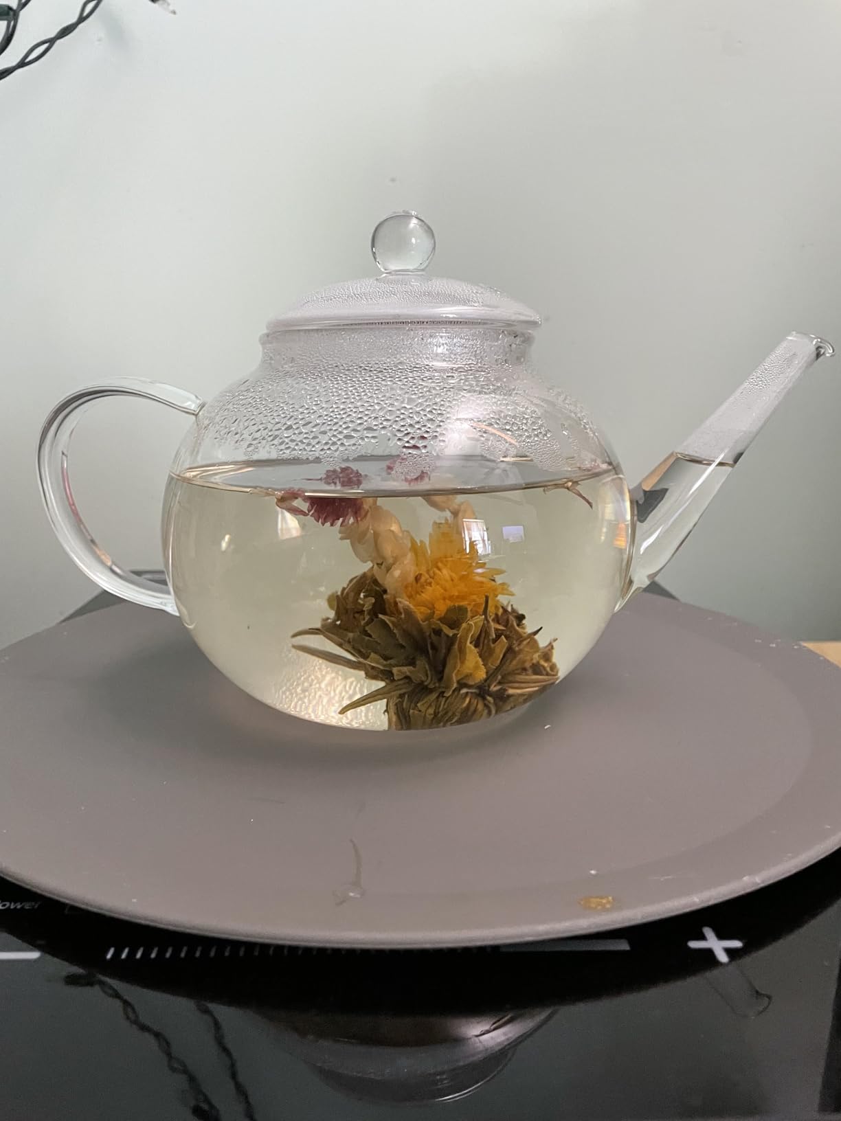 Teabloom Stovetop & Microwave Safe Glass Teapot with Removable Loose Tea Glass Infuser - Includes 2 Blooming Teas - 2-in-1 Tea Kettle and Tea Maker - Tea Purist's Choice customer photo 1