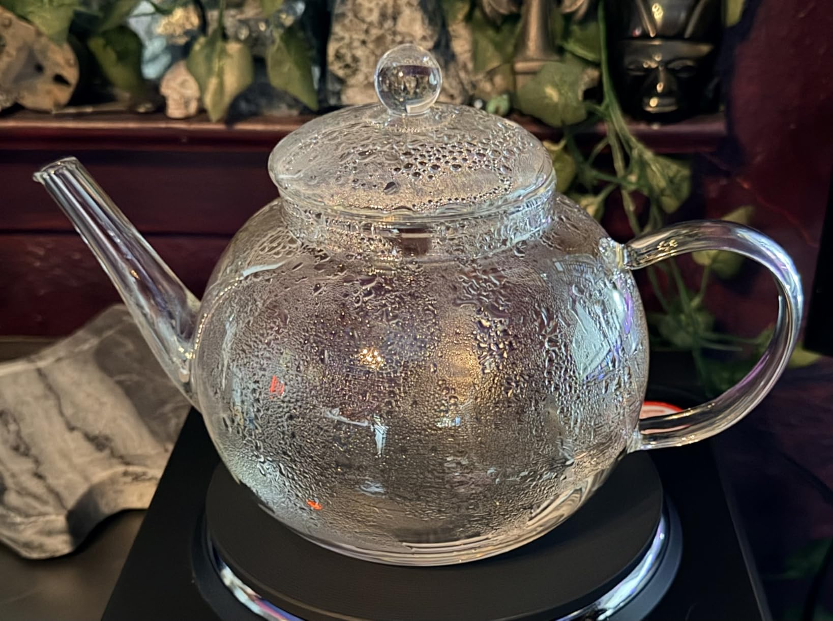 Teabloom Stovetop & Microwave Safe Glass Teapot with Removable Loose Tea Glass Infuser - Includes 2 Blooming Teas - 2-in-1 Tea Kettle and Tea Maker - Tea Purist's Choice customer photo 2