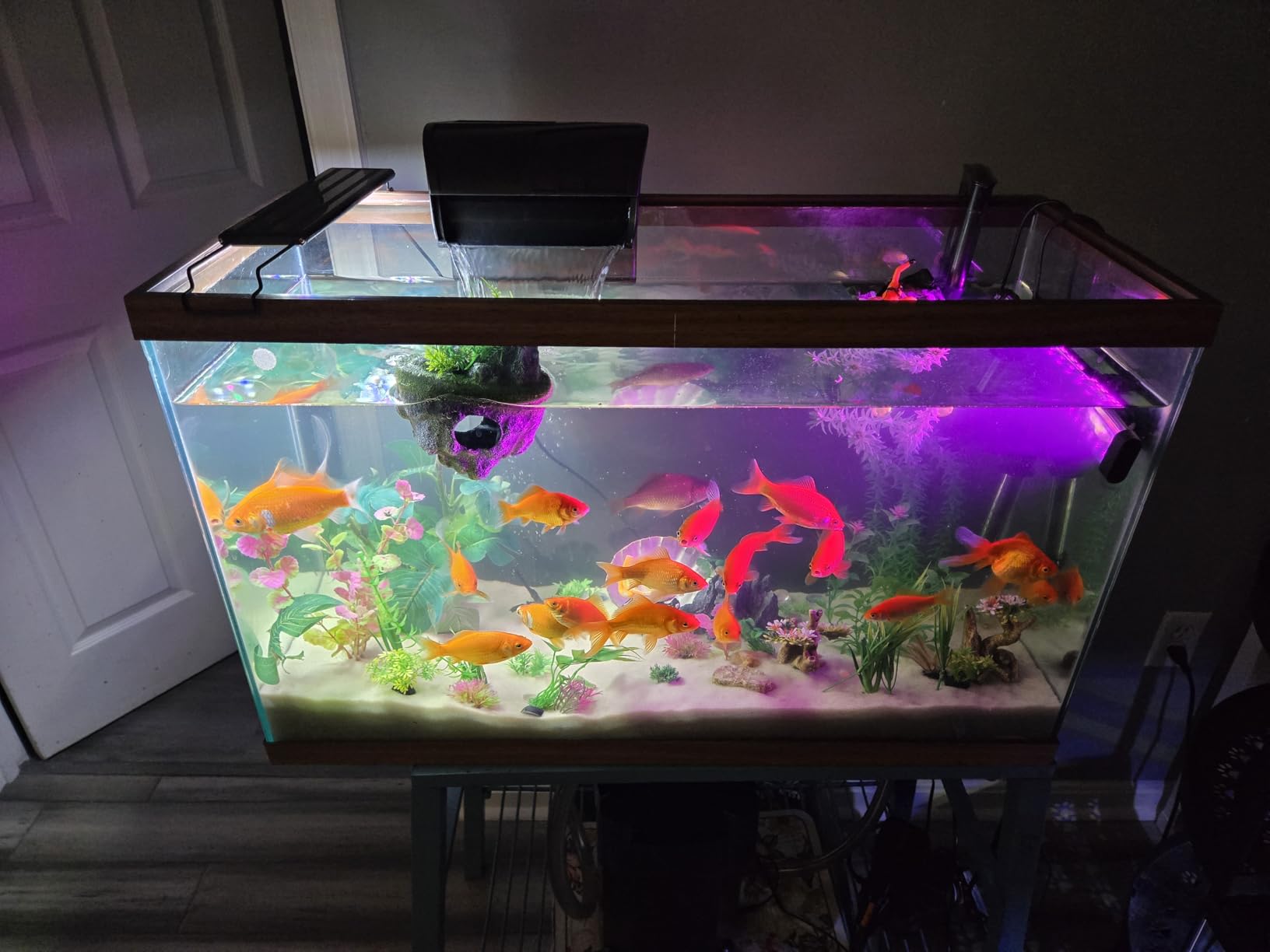 Aqueon QuietFlow Canister Aquarium Filter up to 55 Gallons customer photo 2