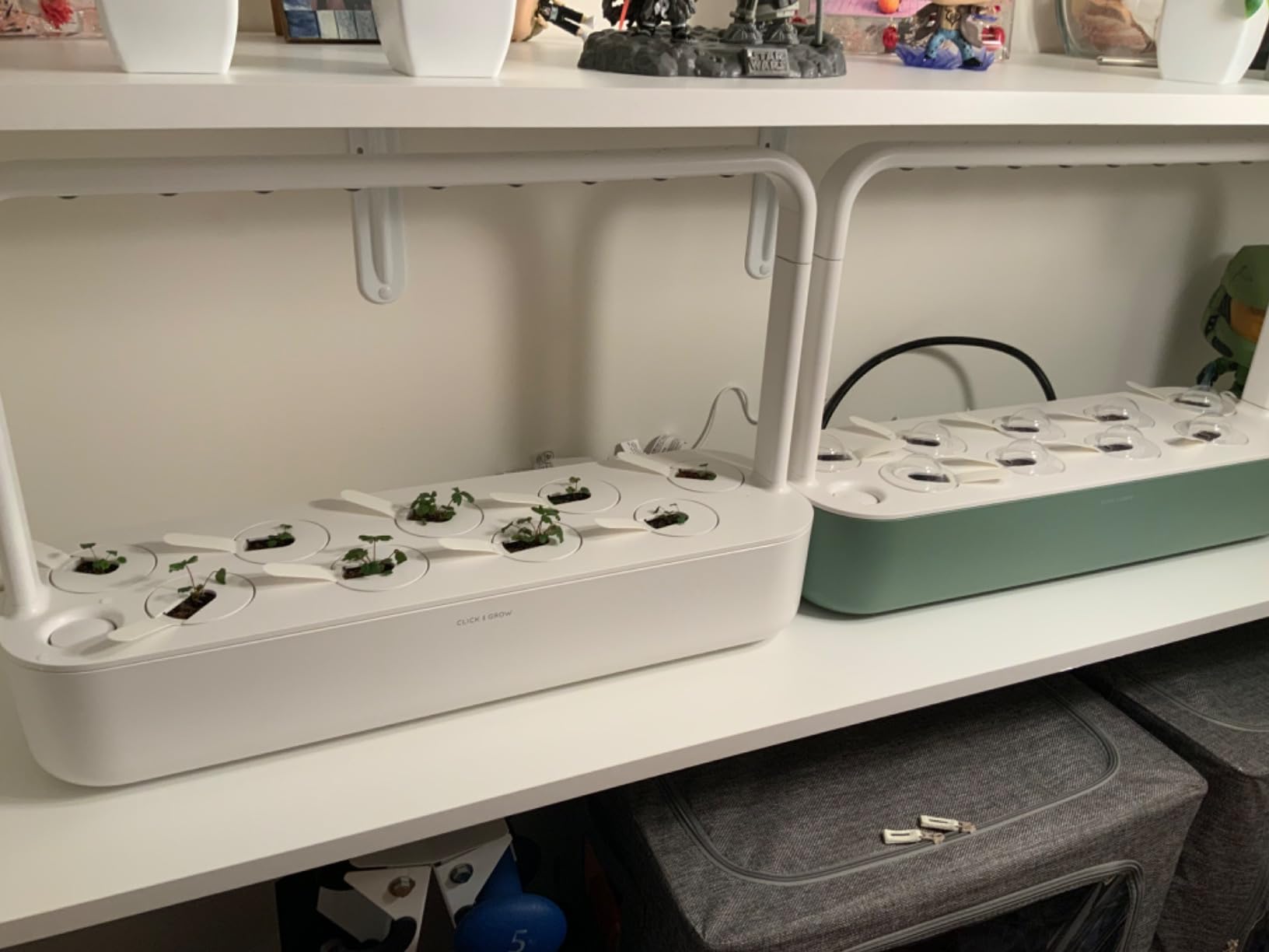 Click & Grow Smart Garden 9 - Indoor Herb Garden Kit with Grow Light, 9 Plant Pods, White customer photo 1
