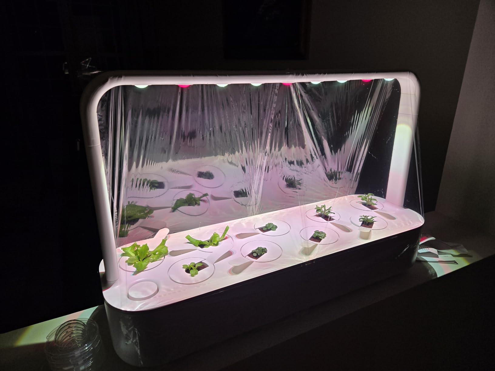 Click & Grow Smart Garden 9 - Indoor Herb Garden Kit with Grow Light, 9 Plant Pods, White customer photo 2