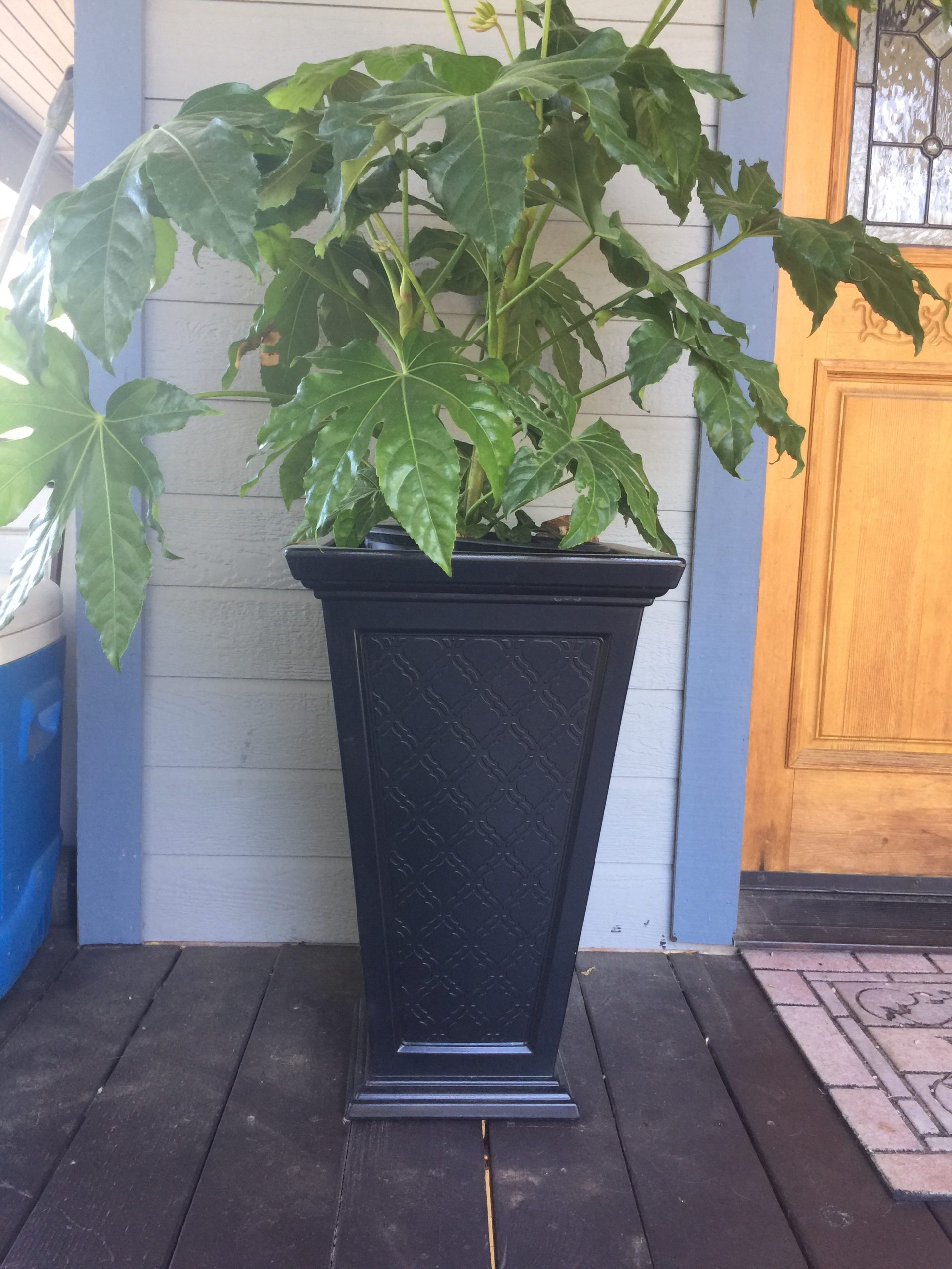 FCMP Outdoor Casablanca Self-Watering Planter (2-Pack) - Set of 2 Large Planters for Porch, Patio, Outdoor/Indoor (MOD-CP3000-BLK-2) Black (24-inch Tall) customer photo 1