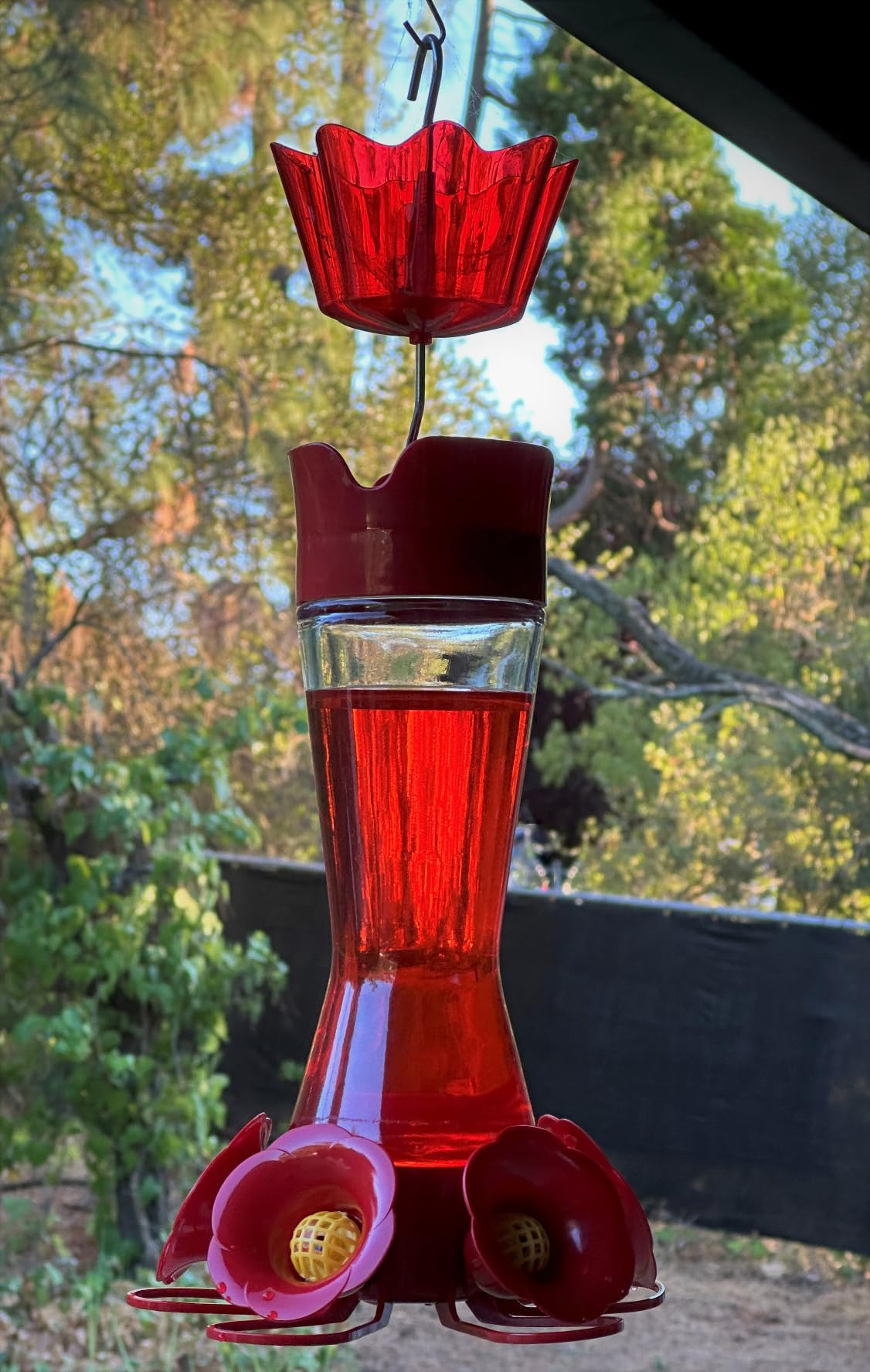 Perky-Pet Favored Pinch-Waist Glass Hummingbird Feeder with Built-in Ant Moat and Bee Guards - 16 oz Capacity - 204CP-4 customer photo 2