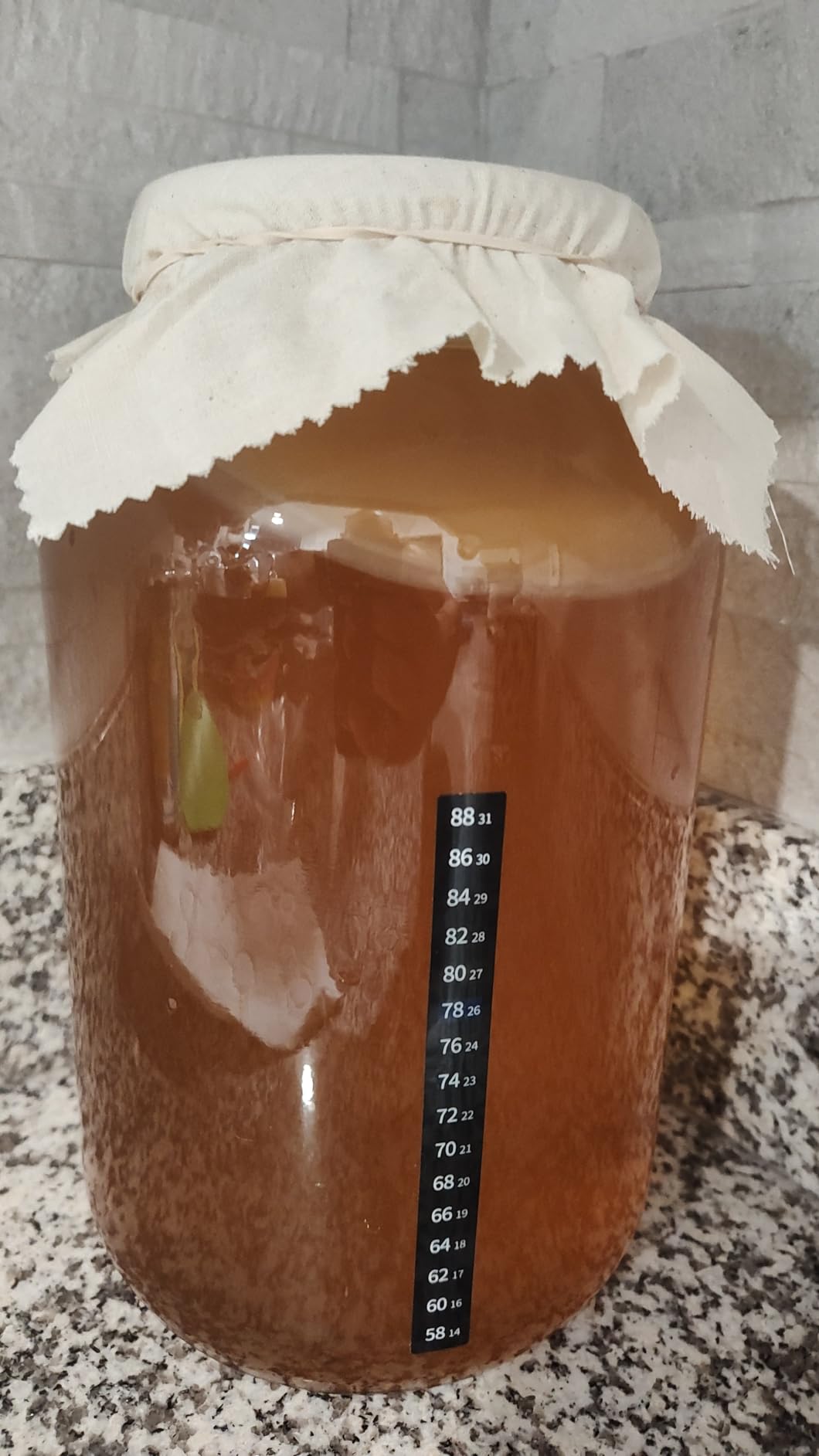 Starter Kit - Includes Organic SCOBY, Starter Liquid, 1 Gallon Glass Jar, Temp Gauge, Tea, and Sugar customer photo 2