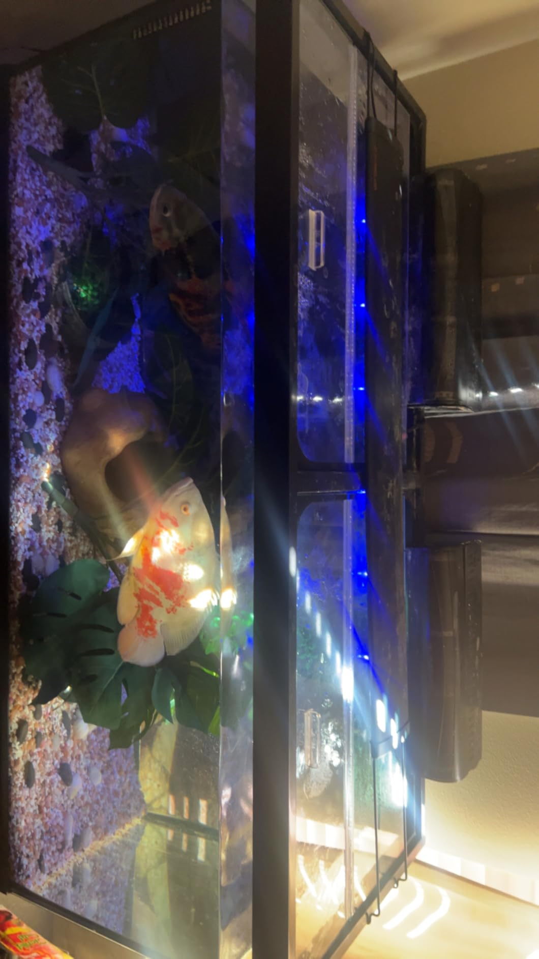 Glass Canopy Two Piece Set for Aquariums with Center Braces, (Tank with Center Brace, 48