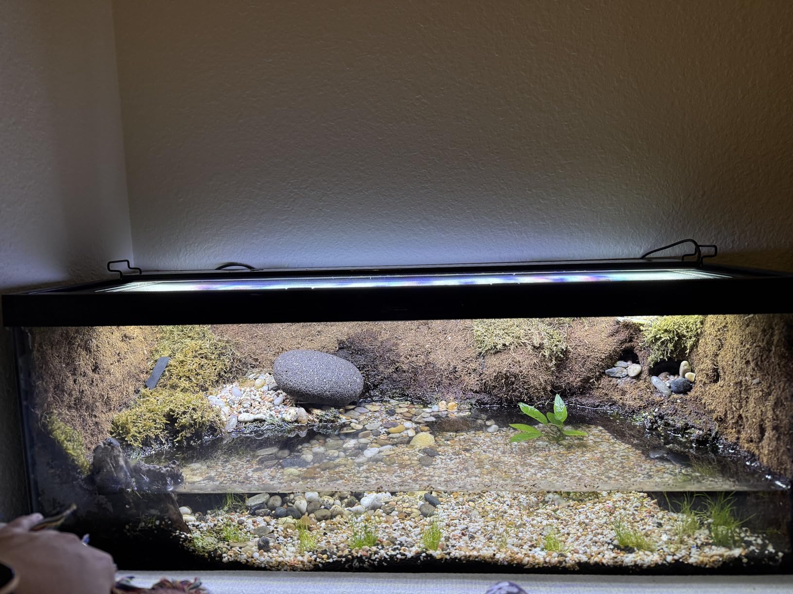 AQUANEAT LED Aquarium Light Full Spectrum for 48 Inch to 54 Inch Fish Tank Light Fresh Water customer photo 1