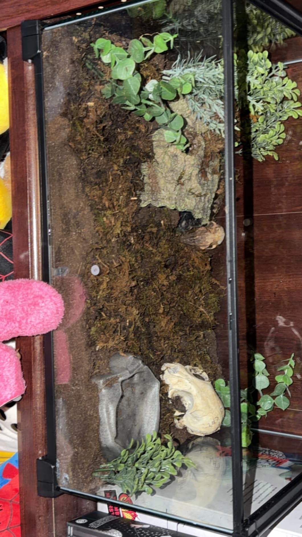 REPTI ZOO 10 Gallon Reptile Tank Glass Natural Cages Terrarium 20