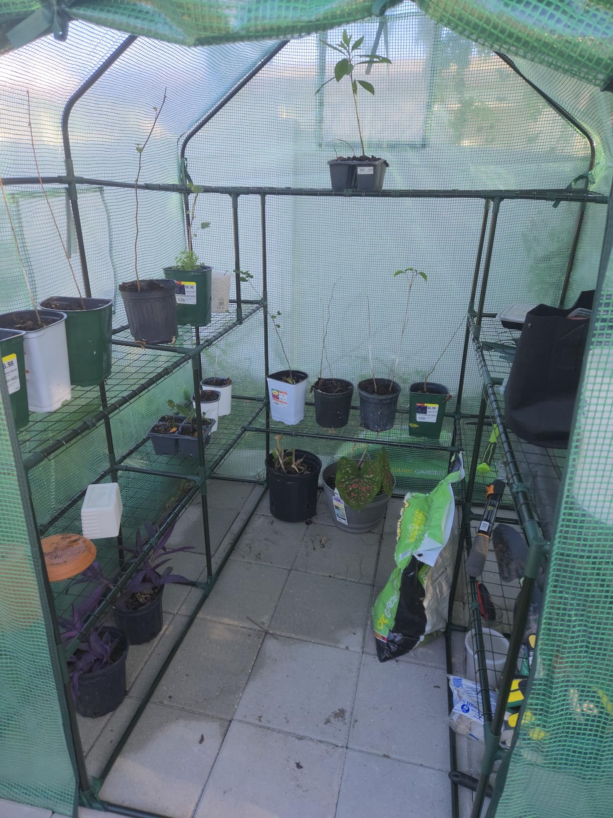 Ohuhu Greenhouse for Outdoors with Mesh Side Windows, 3 Tiers 4 Shelves Small Walk-In Green House Plant Stands Plastic PE Cover Outside Portable Warm House, 4.8x2.5x6.4 FT customer photo 1