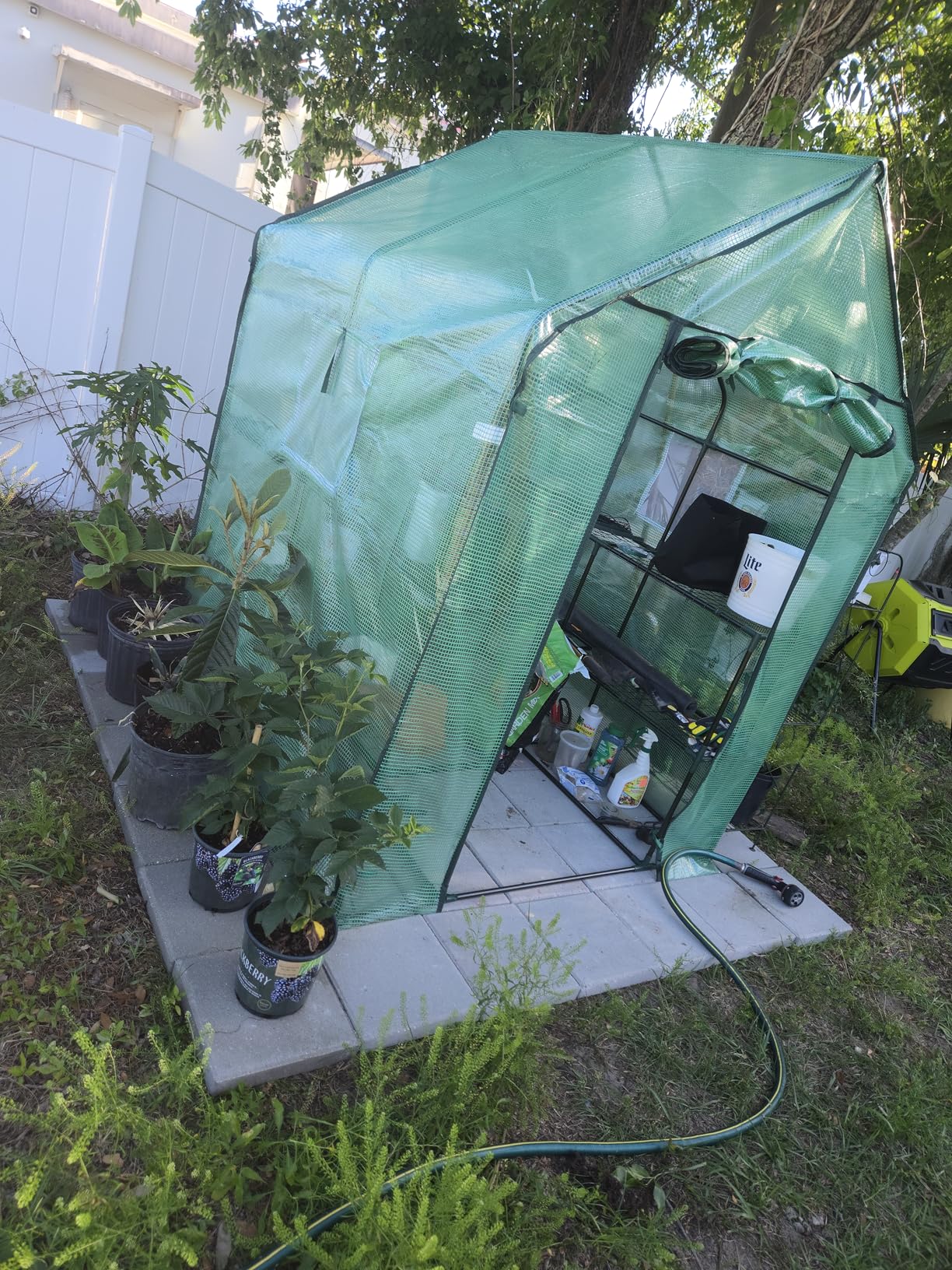 Ohuhu Greenhouse for Outdoors with Mesh Side Windows, 3 Tiers 4 Shelves Small Walk-In Green House Plant Stands Plastic PE Cover Outside Portable Warm House, 4.8x2.5x6.4 FT customer photo 2