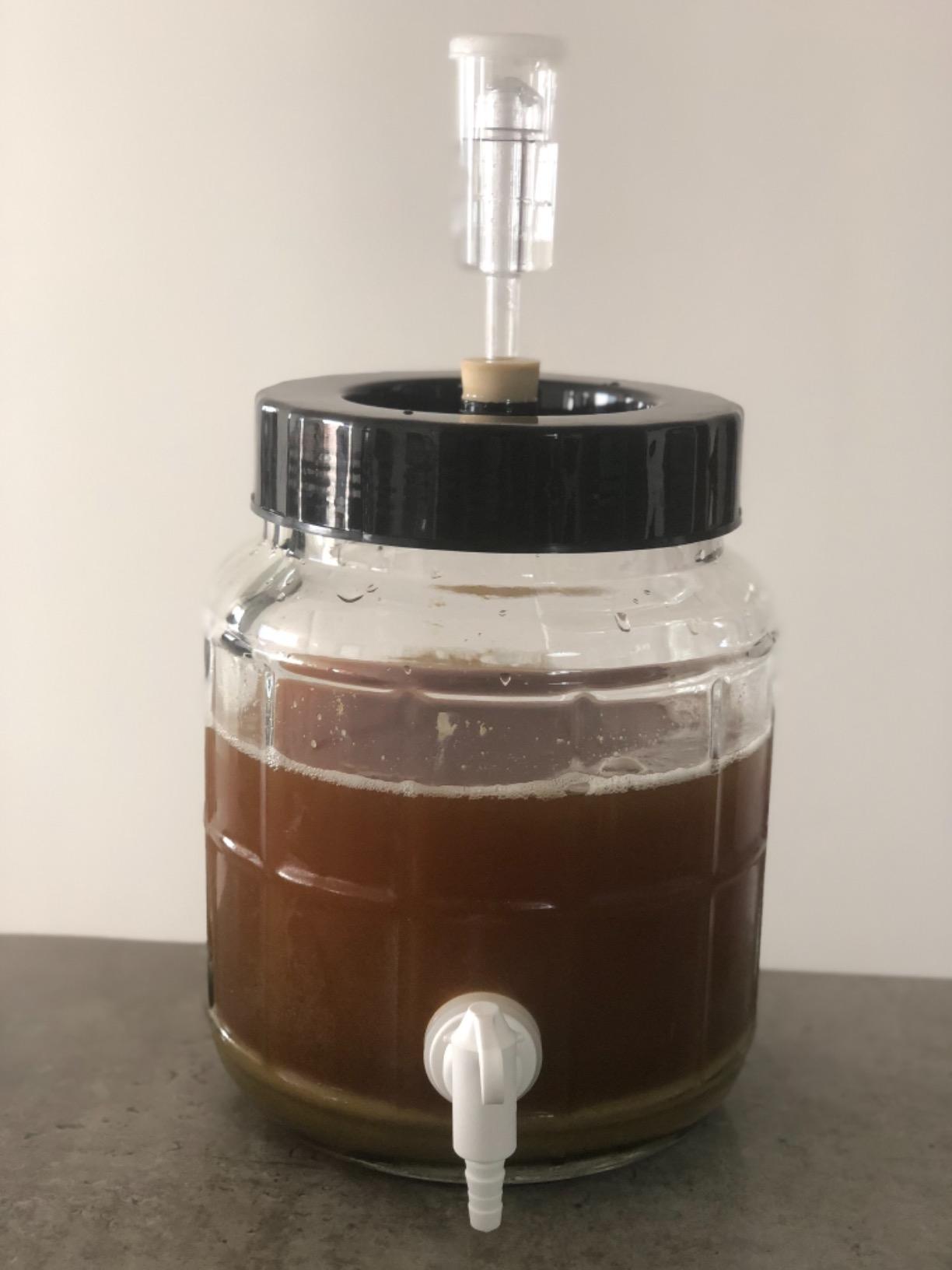 Northern Brewer - Siphonless 1 Gallon Craft Beer Making Starter Kit, Equipment and Beer Recipe Kit (Kama Citra IPA) customer photo 2