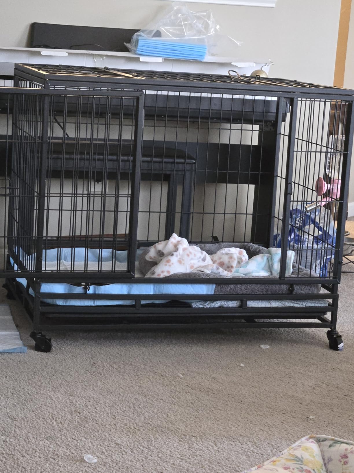BestPet 36-Inch Heavy Duty Dog Crate, Indestructible Escape-Proof Metal Kennel with Double Door & Removable Tray, Indoor Outdoor Dog Cage for Medium to Large Dogs, Black customer photo 2