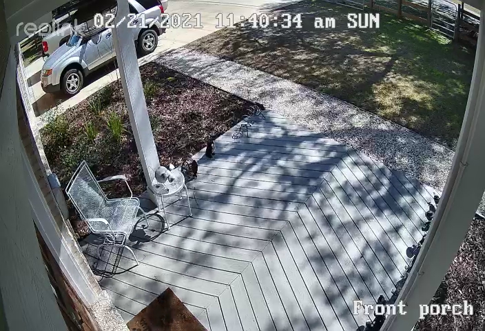 REOLINK Wireless Outdoor Security Camera Lumus 2K, Upgraded 4MP Spotlight Color Night Vision, 2.4/5GHz Dual-Band WiFi Plug in Camera, Smart Person/Vehicle/Animal Detection, Two-Way Talk, Local Storage customer photo 2