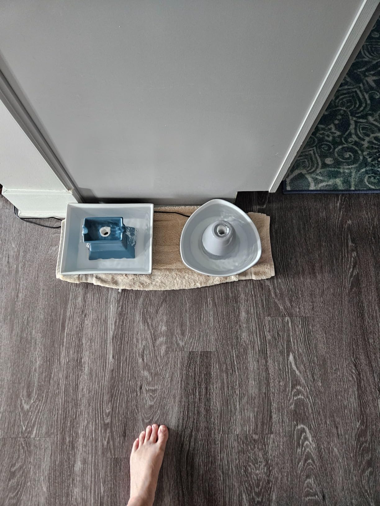 PetSafe Ceramic Pet Fountain for Cats and Small Dogs, 60 Oz Water Capacity, Whisper-Quiet Water Flow, Great for Shy or Timid Pets, Fresh Filtered Water customer photo 2