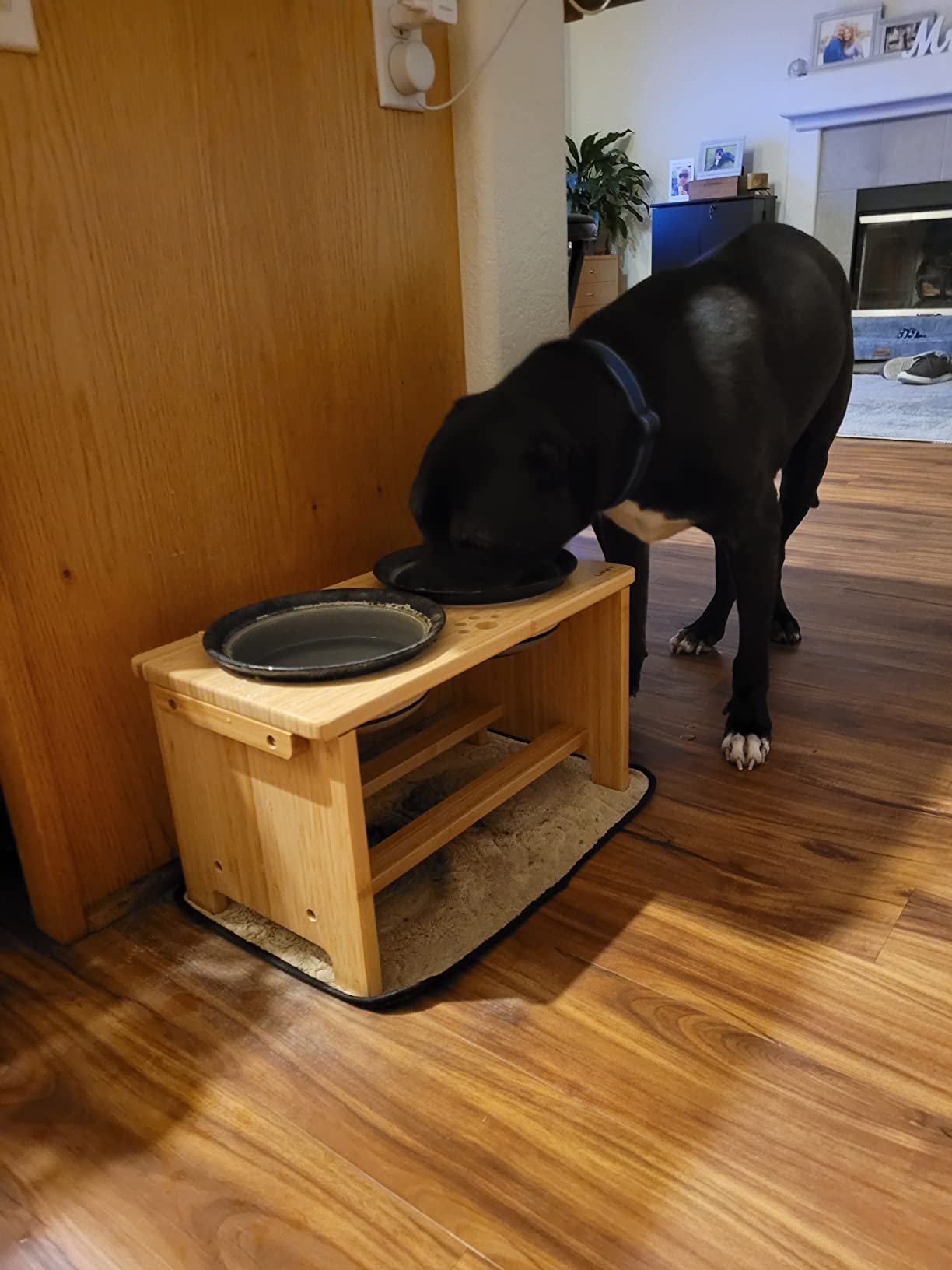 HTB Elevated Dog Bowls, Raised Dog Bowl Stand with 2 Stainless Steel Bowls, Elevated Raised Dog Bowls for Large Medium Small Sized Dogs customer photo 2