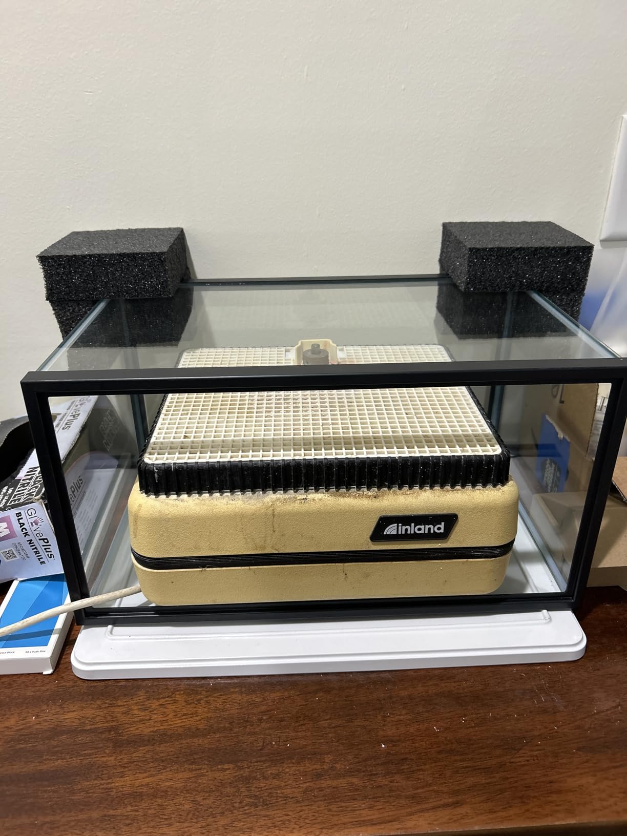 Tetra Glass Aquarium 55 Gallons, Rectangular Fish Tank (NV52018) customer photo 1