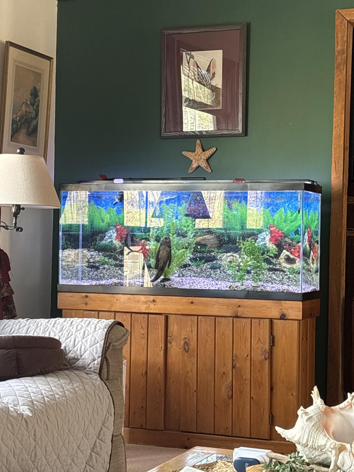 Tetra Glass Aquarium 55 Gallons, Rectangular Fish Tank (NV52018) customer photo 2
