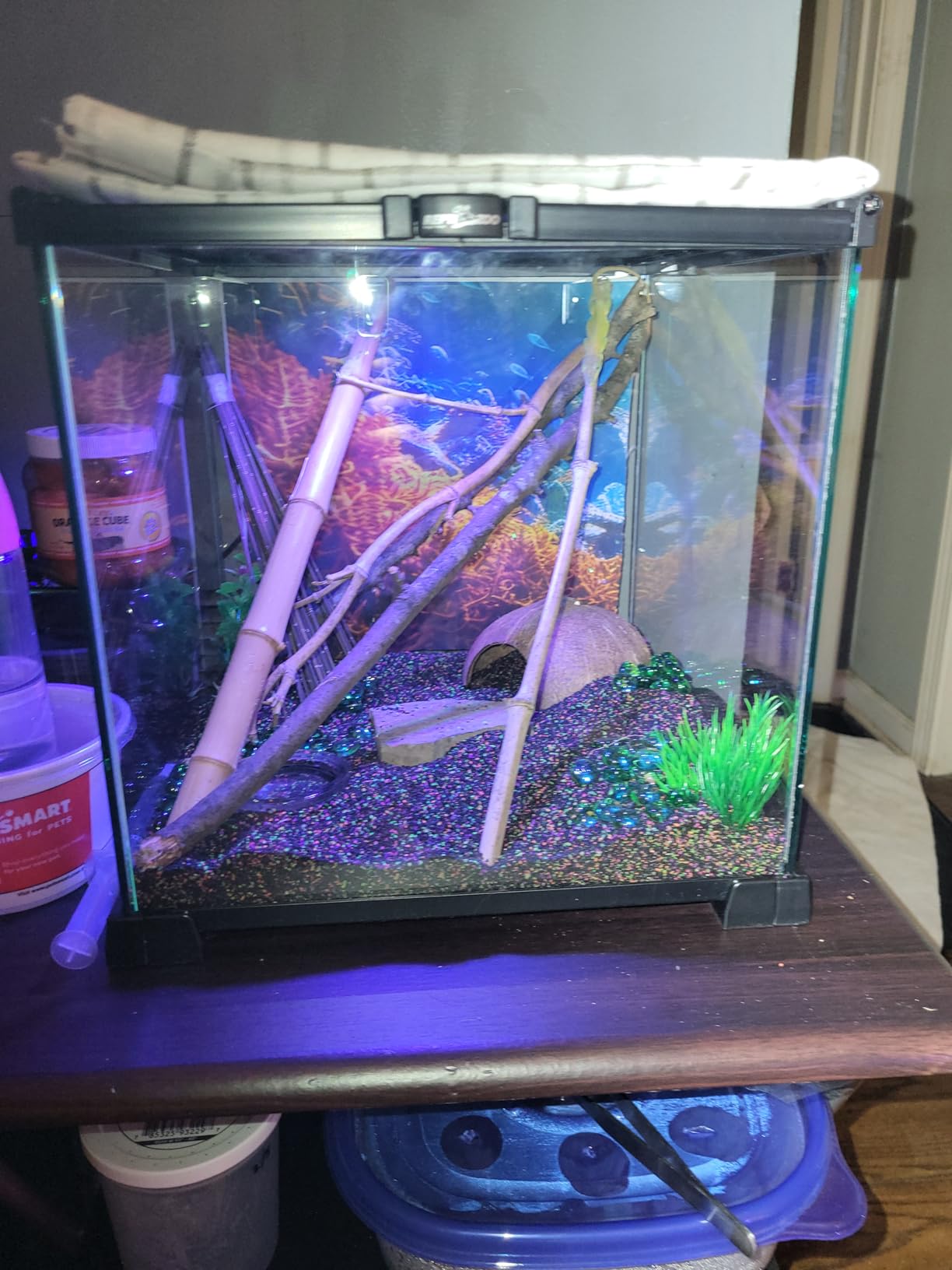 REPTI ZOO Full Glass 15 Gallon Reptile Tank, Medium Reptile Terrarium for Gecko Hermit Crab Hognose Snake, Top Screen Ventilation & Feeding customer photo 2