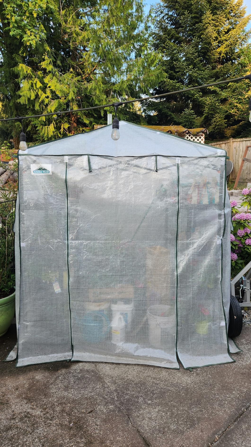 EAGLE PEAK 9x4 Portable Walk in Greenhouse, Pop Up Indoor Outdoor Greenhouse, Green House Kit with Zippered Roll-Up Doors and Windows, Lean-to Design, PE Cover, Clear/Green customer photo 1