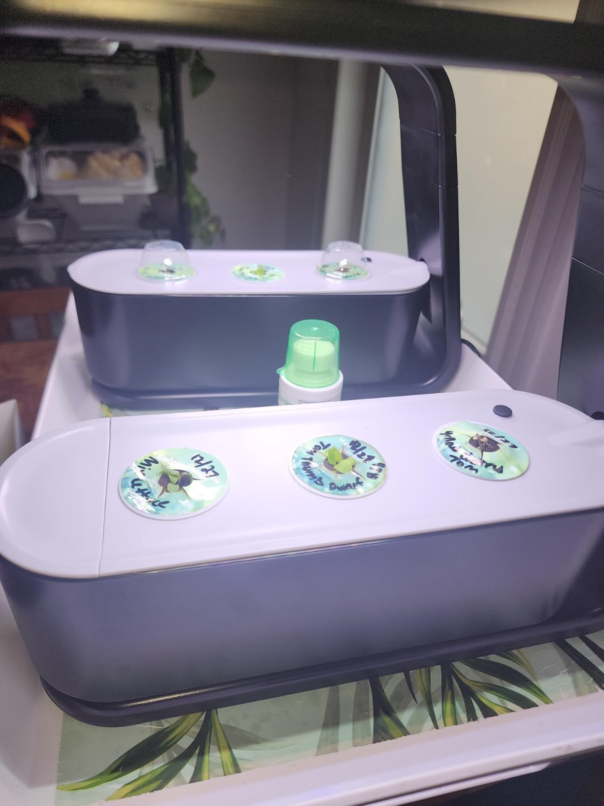 AeroGarden Sprout - Indoor Garden with LED Grow Light, Black customer photo 2