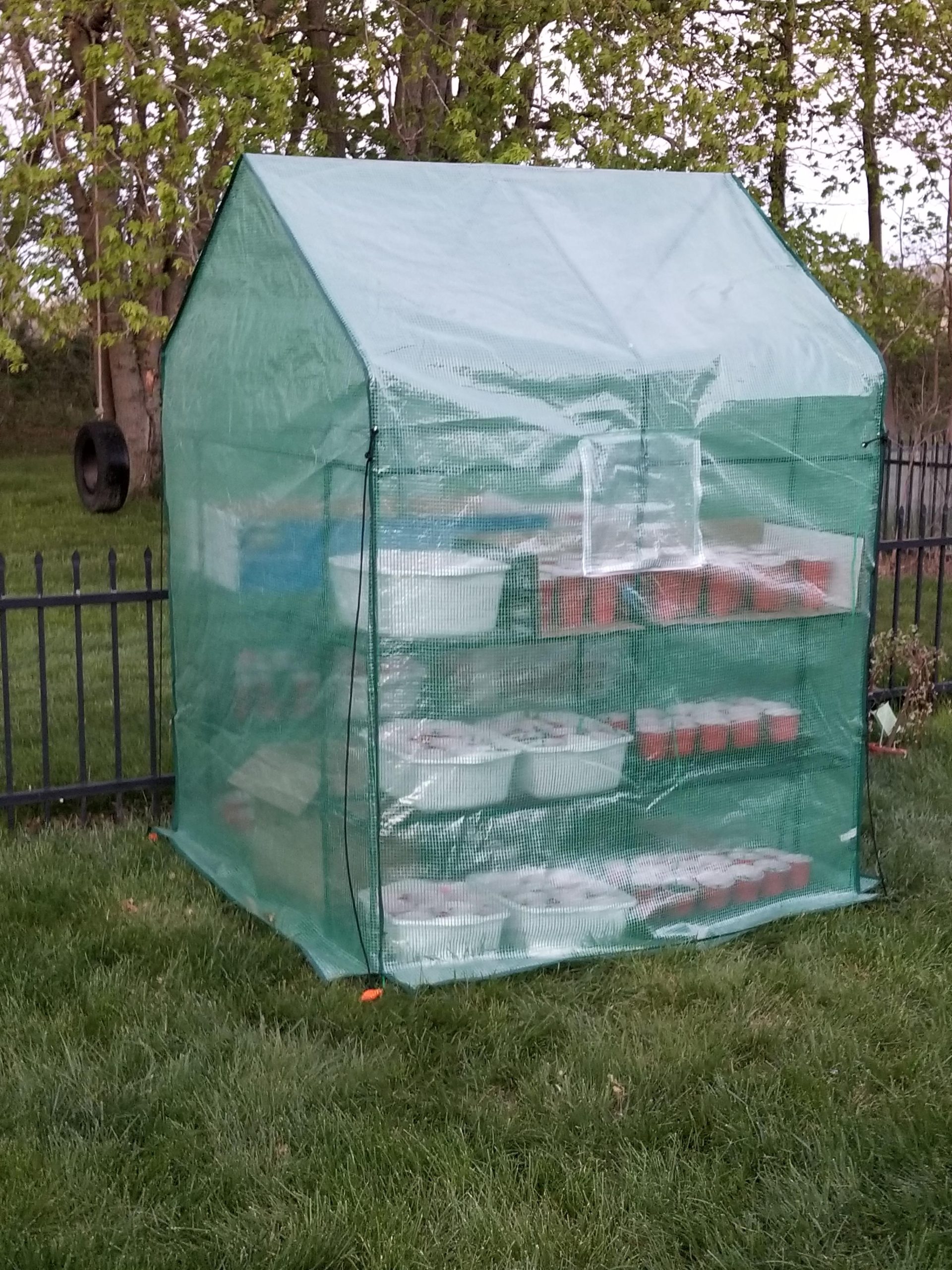 VIVOSUN Lean-to Greenhouse, 6.6' x 3.3' x 6.9' Portable Wall House with Green PE Cover and Shelf for Compact Garden 79x39x83-Inch customer photo 1