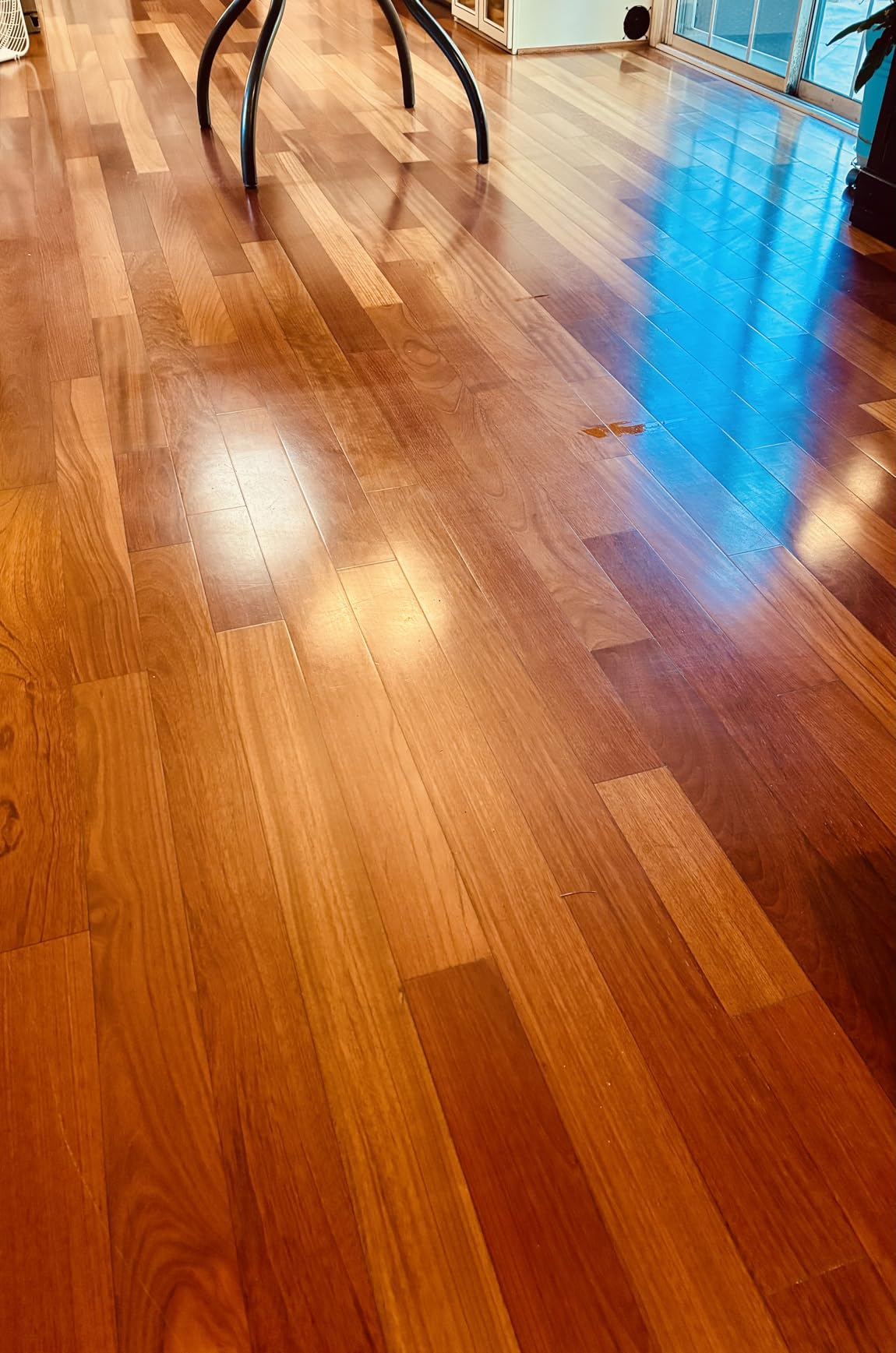 Bissell SpinWave Hard Floor Expert Corded Spin Mop Cleaner, Powerful Electric Floor Cleaner with Washable Pads for Effortless Deep Cleaning on Sealed Floors, 20393 customer photo 2