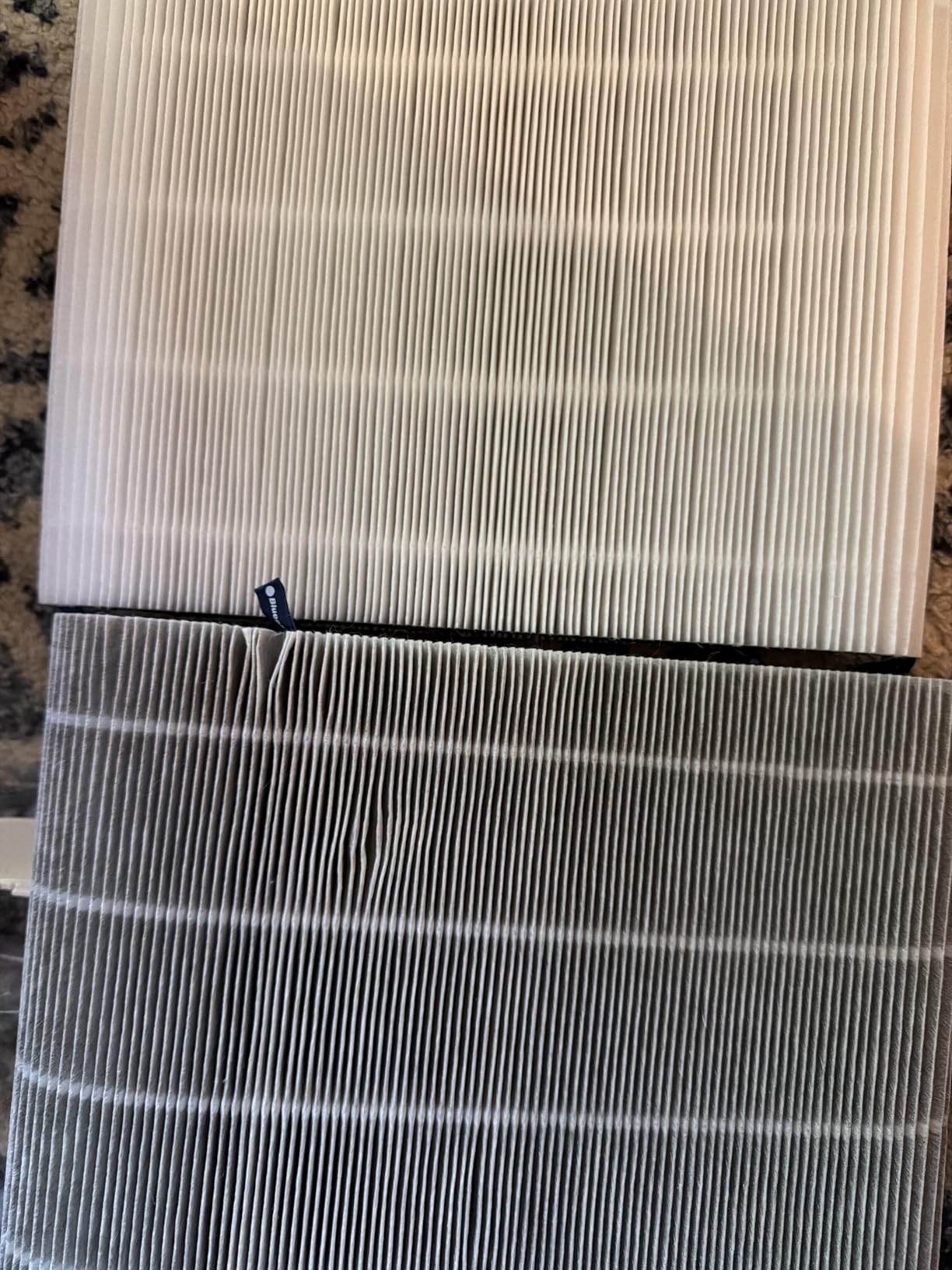 BLUEAIR Air Purifier for Home HEPA, HEPASilent Technology Air Cleaner for Small Rooms 432 sq ft coverage - Blue Pure 511 customer photo 1