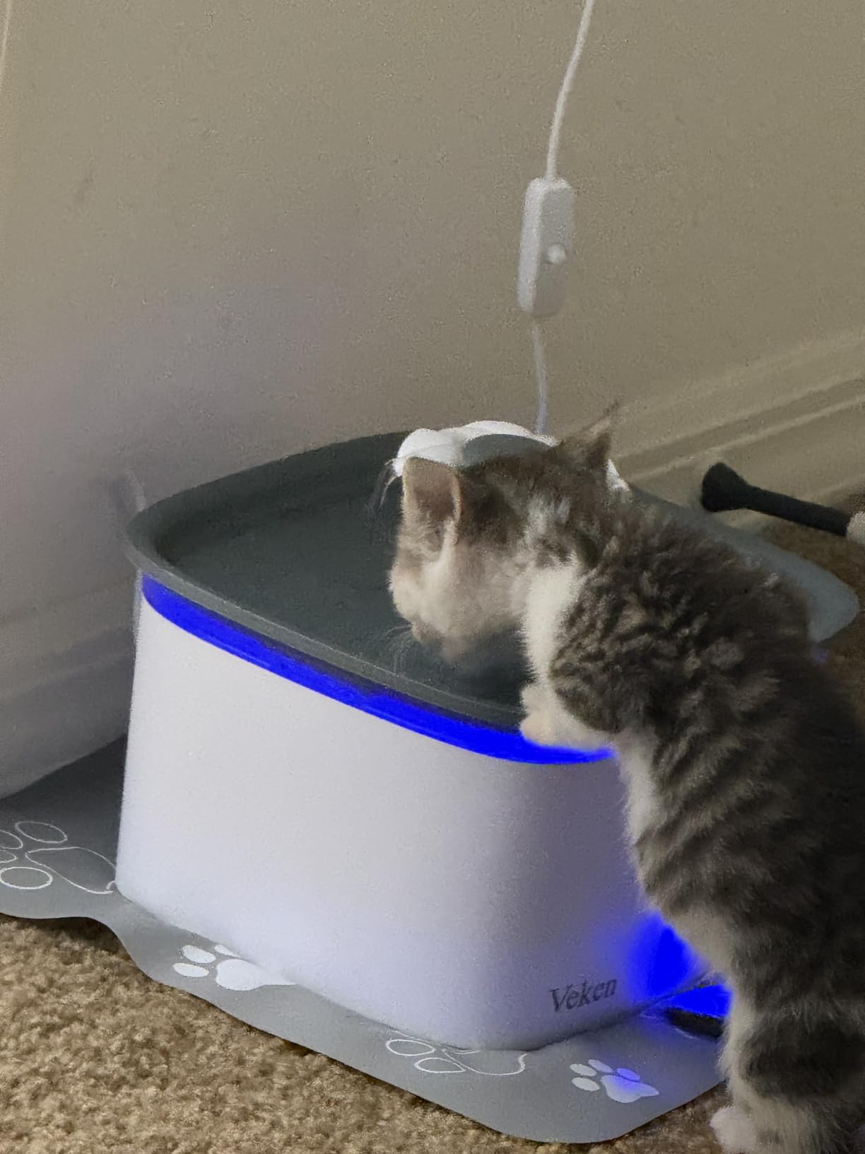 Veken Innovation Award Winner 95oz/2.8L Pet Fountain, Automatic Cat Water Fountain Dog Water Dispenser with Replacement Filters for Cats, Dogs, Multiple Pets (Grey, Plastic) customer photo 1