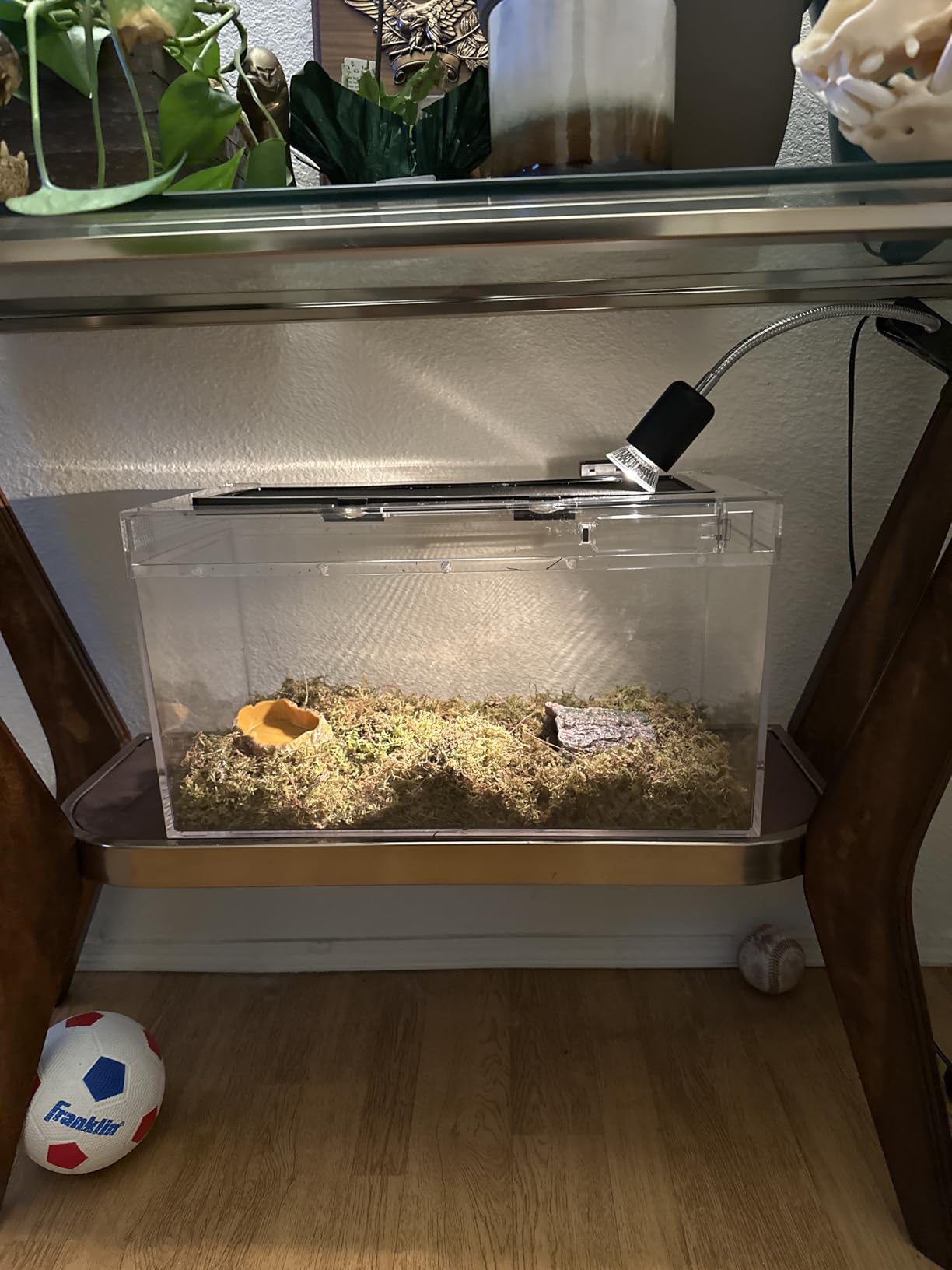 HELIME Reptile Polycarbonate Terrarium Kit 7 Piece Starter Habitat for Lizards, Frogs, Geckos with Escape-Proof Locking Lid, Light, Hygrometer, Hide, Tweezer, Bowl, Sprayer customer photo 1