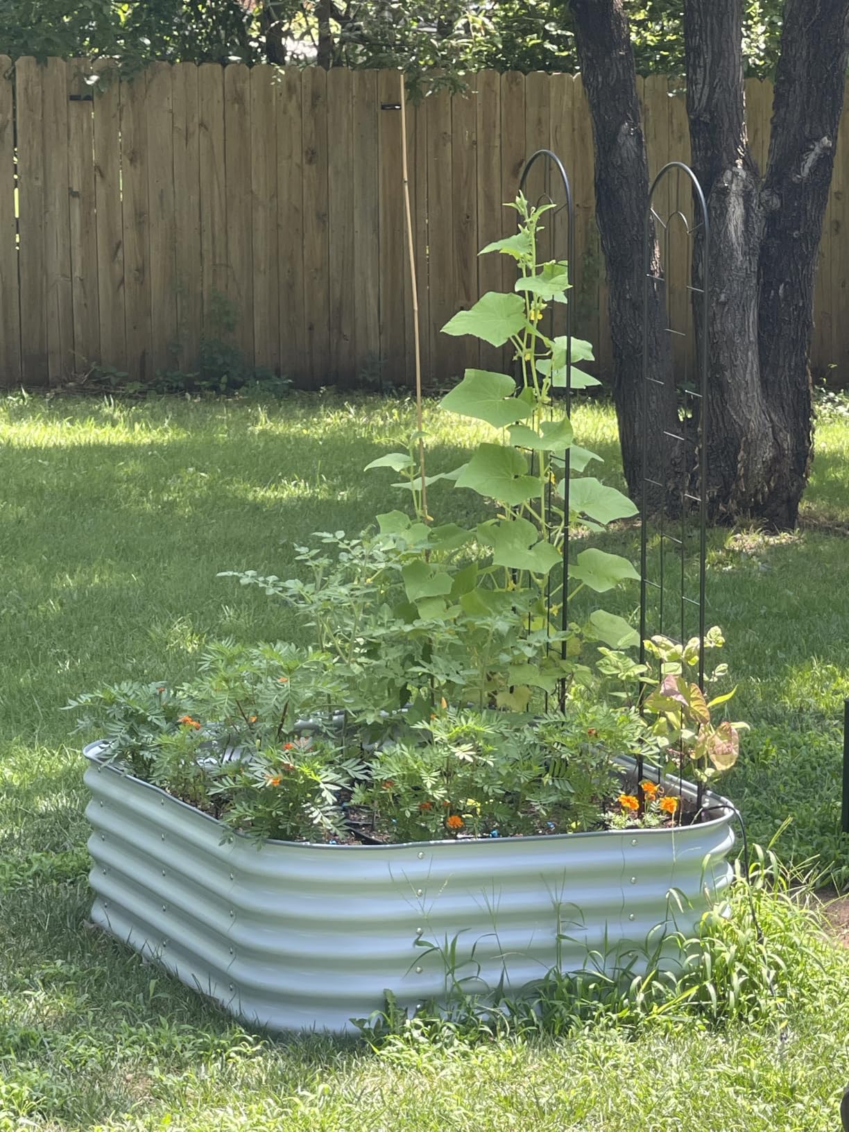 Vego garden Aluzinc Raised Garden Bed Kits, 17