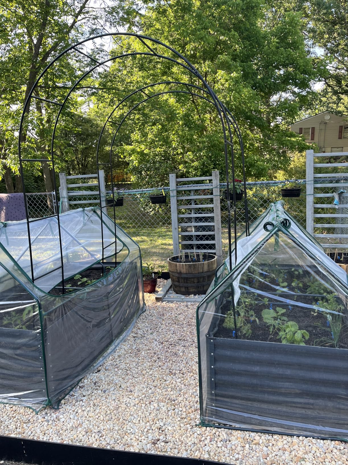 Quictent Raised Garden Bed with Cover Outdoor Galvanized Metal Planter Box Kit, w/ 2 Large Screen Windows Mini Greenhouse for Growing Vegetables 6x3x1ft (Clear) customer photo 1