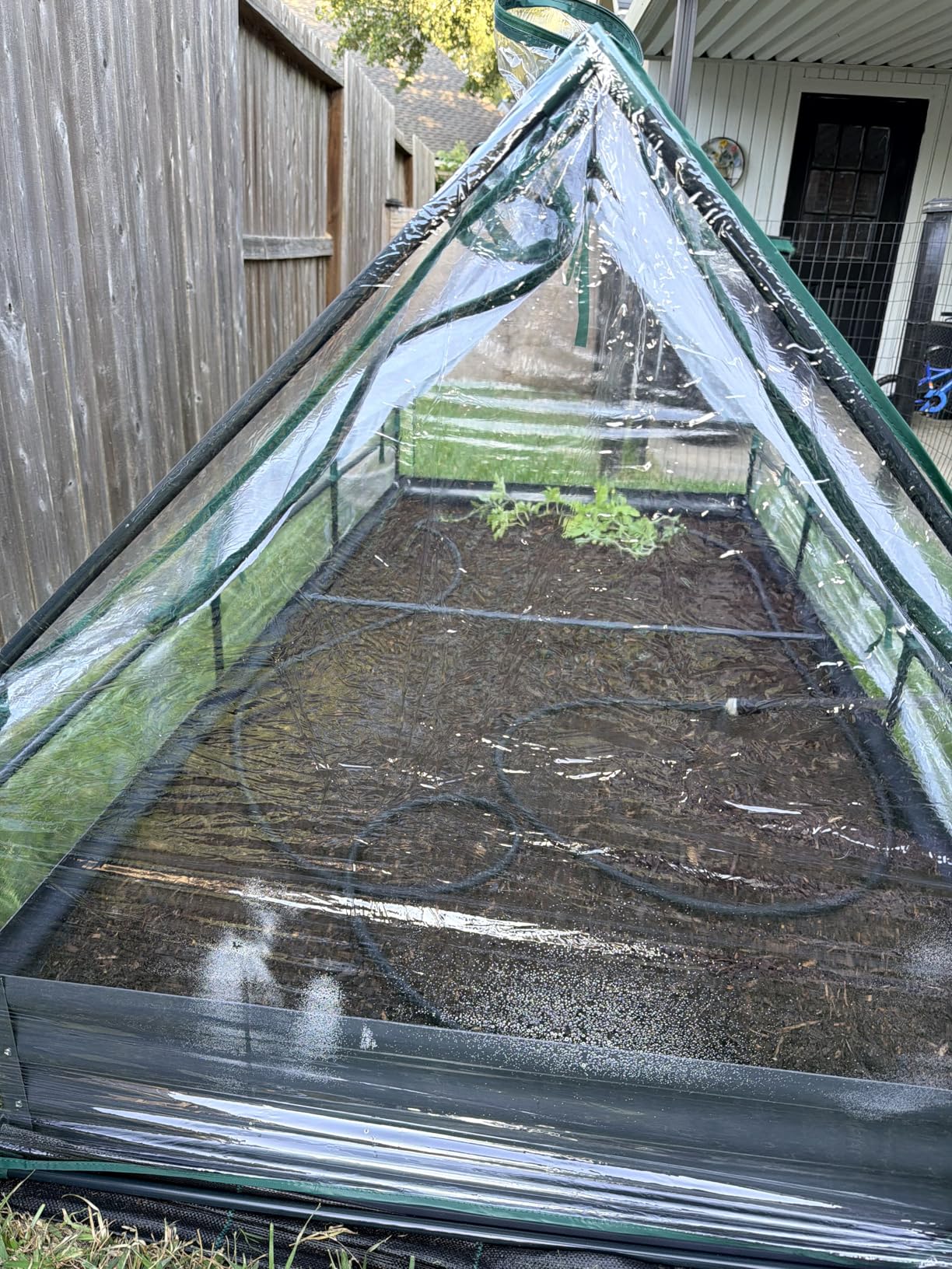 Quictent Raised Garden Bed with Cover Outdoor Galvanized Metal Planter Box Kit, w/ 2 Large Screen Windows Mini Greenhouse for Growing Vegetables 6x3x1ft (Clear) customer photo 2