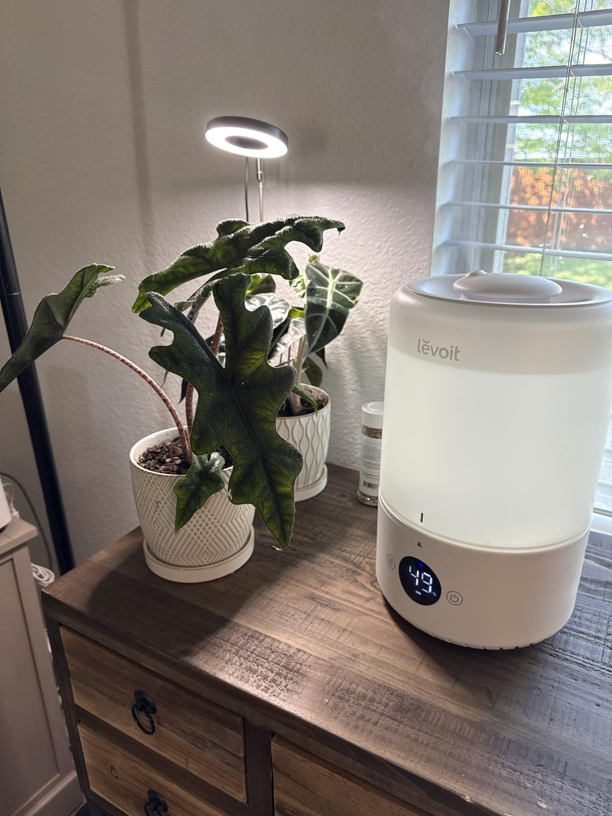 LEVOIT Smart Cool Mist Top Fill Humidifiers for Bedroom with Sensor, Auto Humidity Setting, APP & Voice Control, Essential Oil Diffuser, Ultra Quiet Operation, Super Easy Top Fill, 3L, White customer photo 1